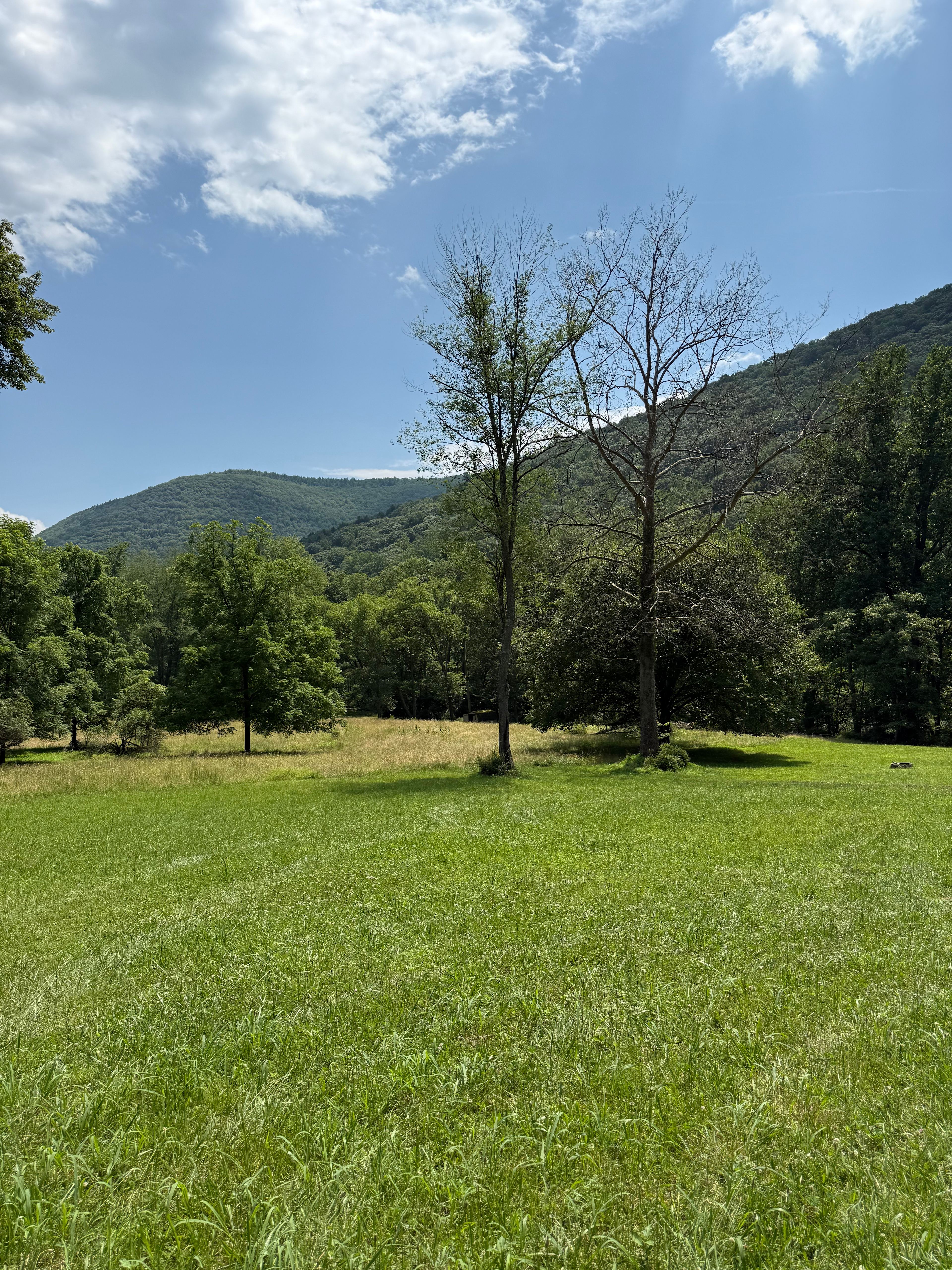 The Wilds At River's Edge