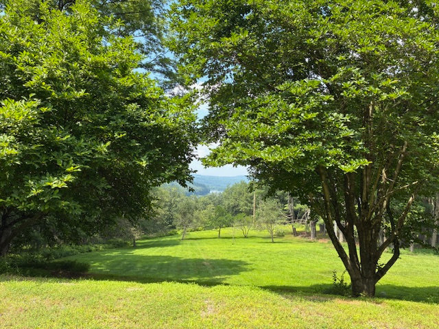 This is the view of the Delaware River from where your RV will be situated. It faces Northwest for great sunsets. Enjoy! 