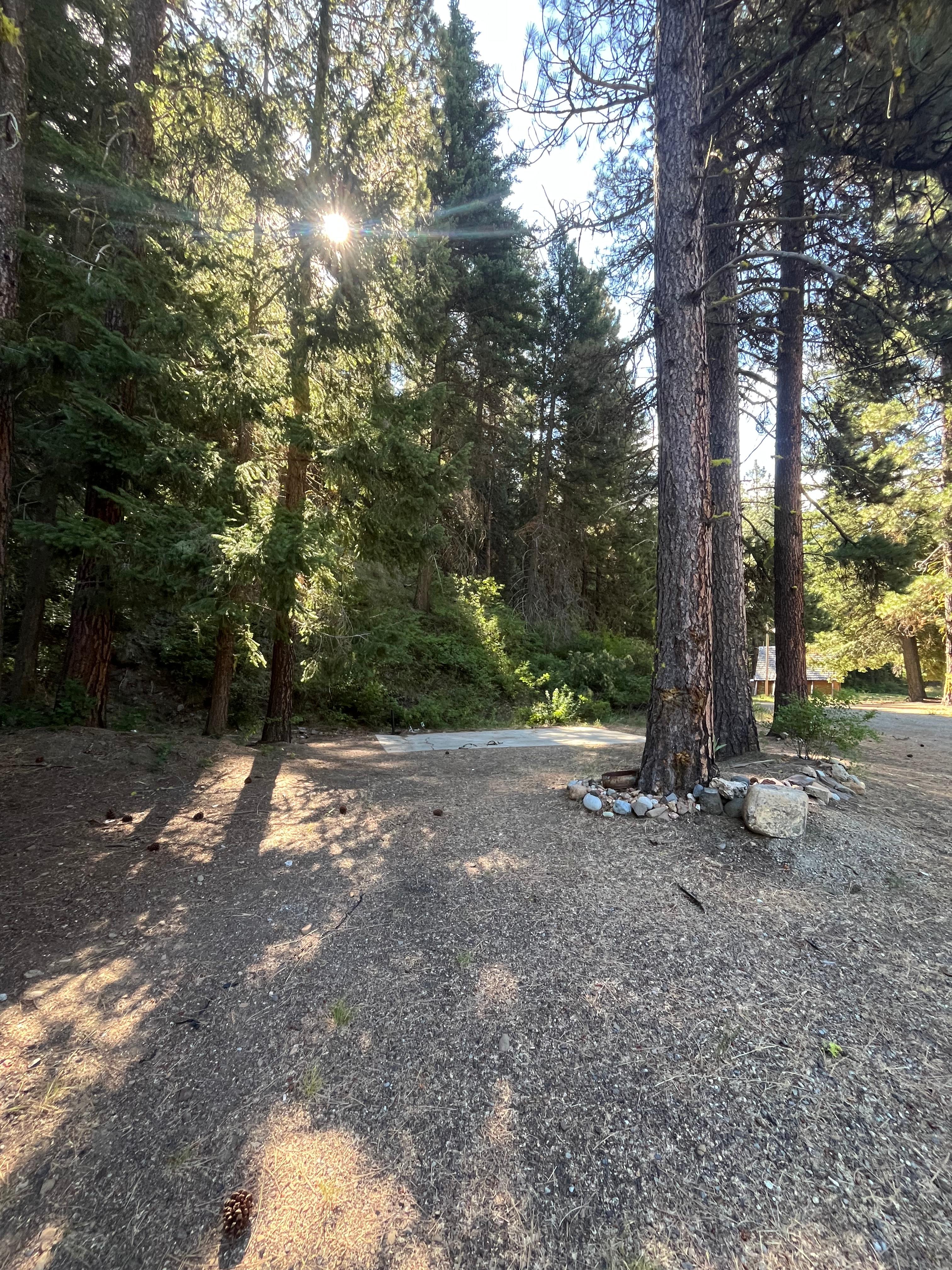Mineral Springs Resort