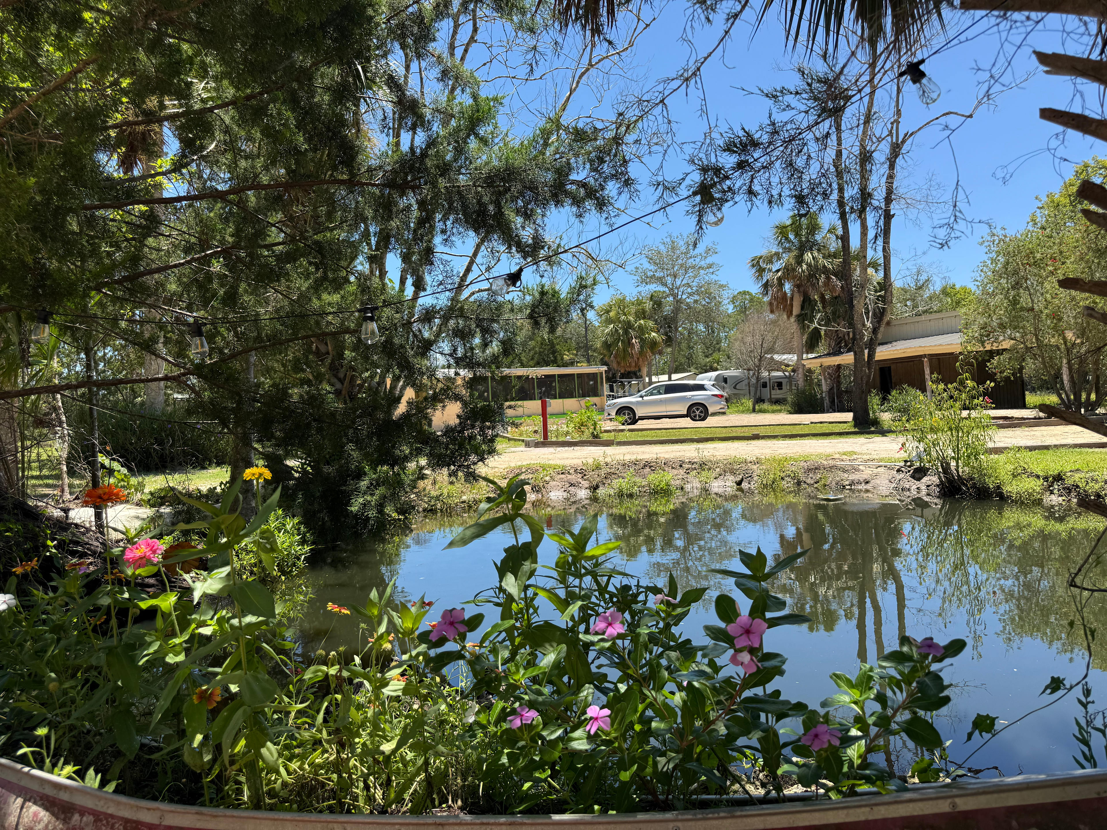 Privacy RV resort of Steinhatchee