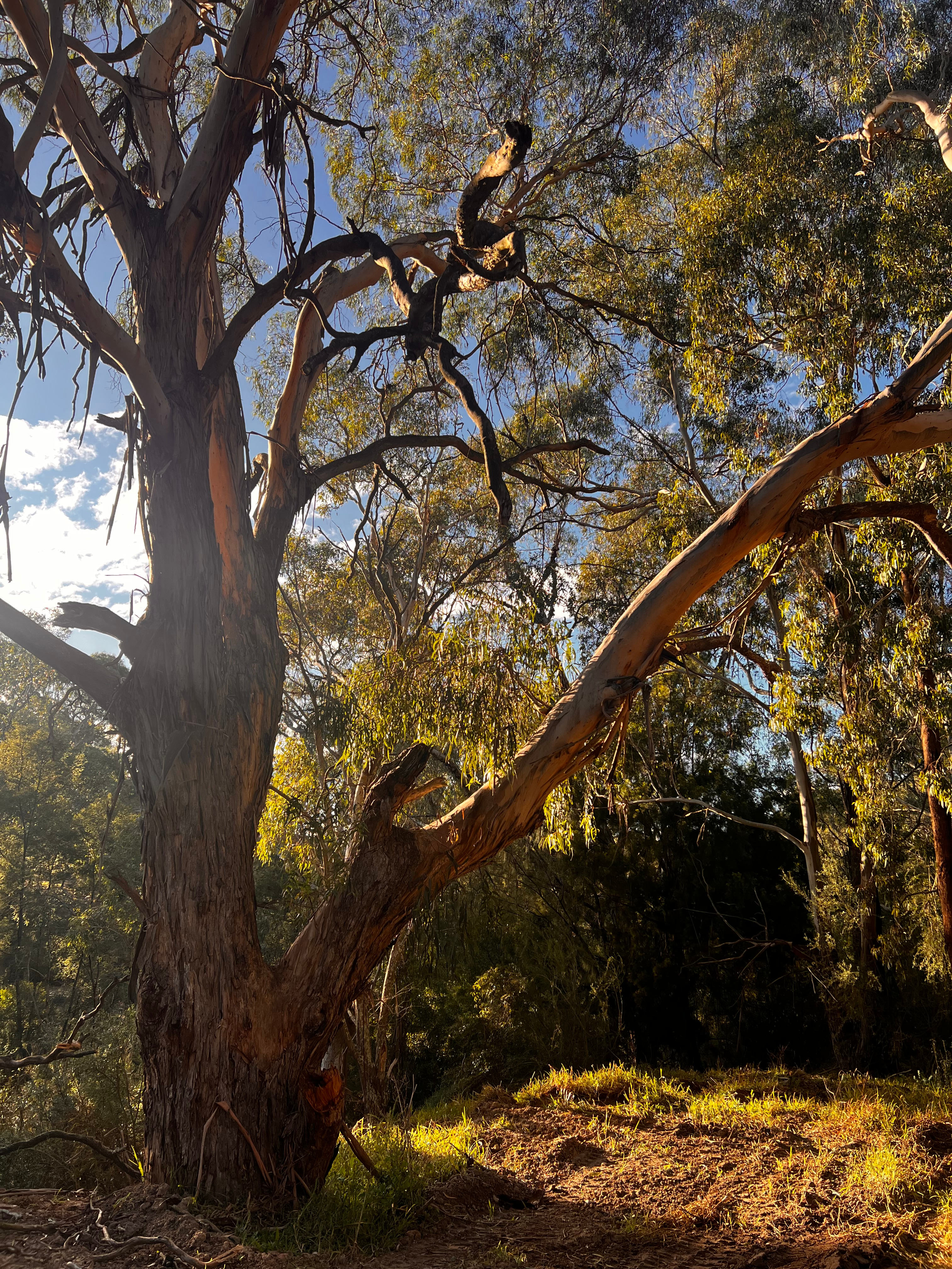 Deep Creek Gully