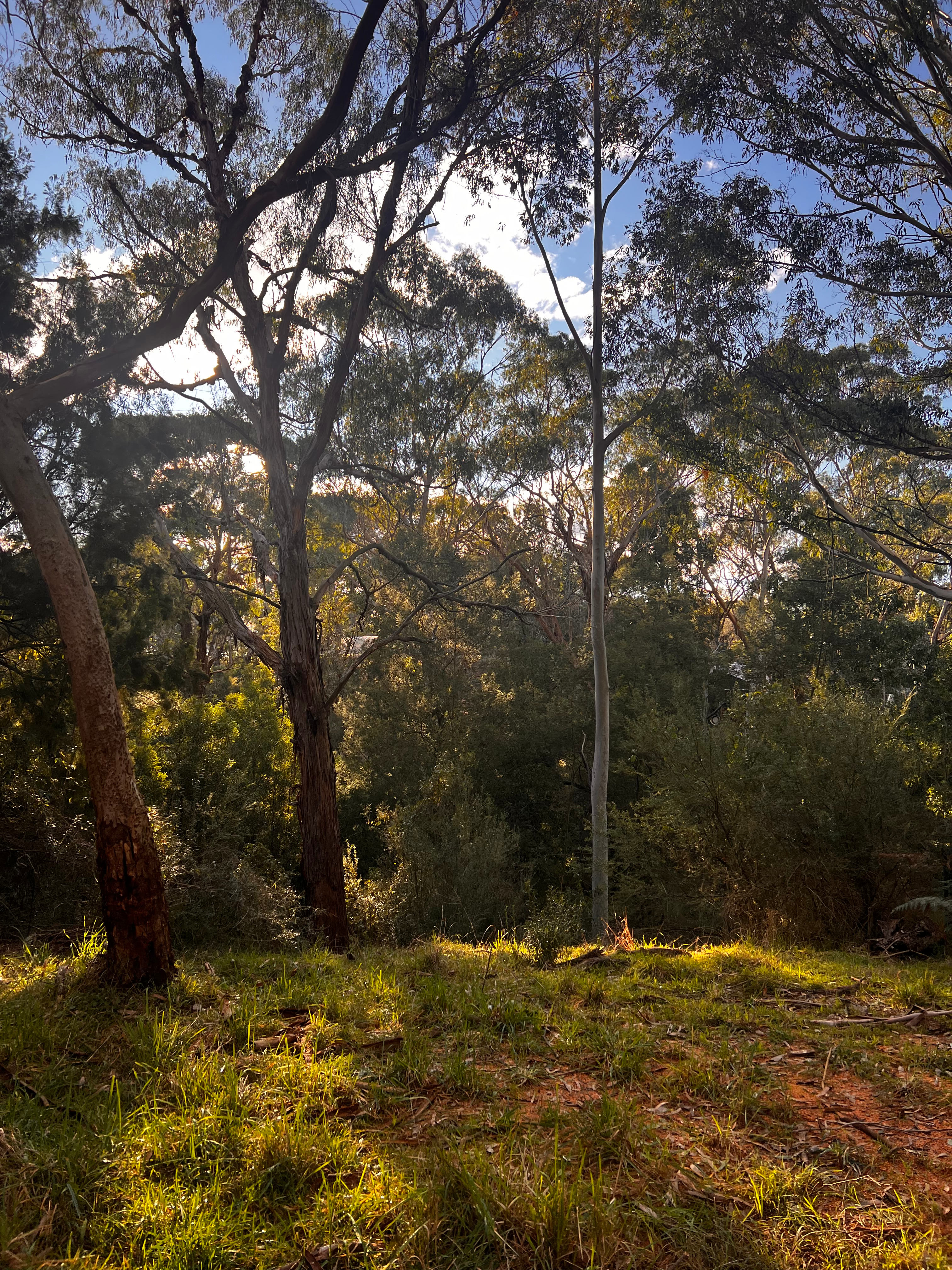 Deep Creek Gully