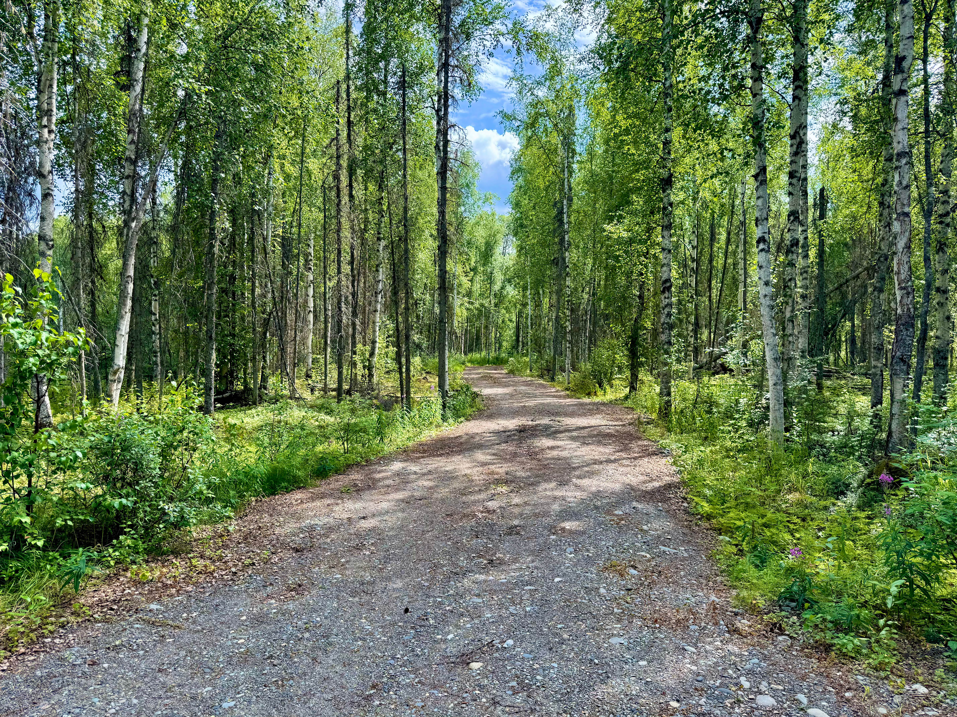 Driveway,