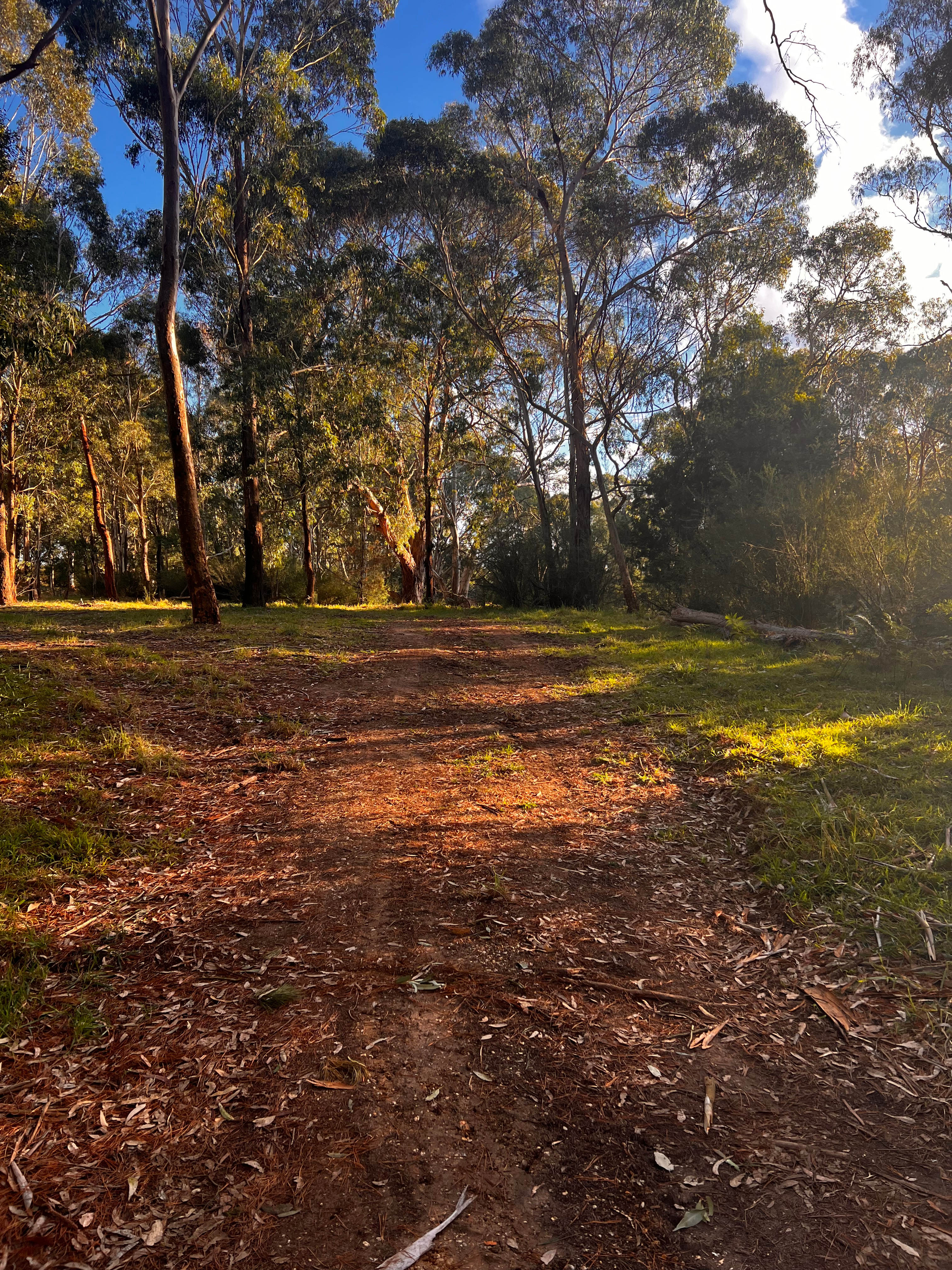 Deep Creek Gully