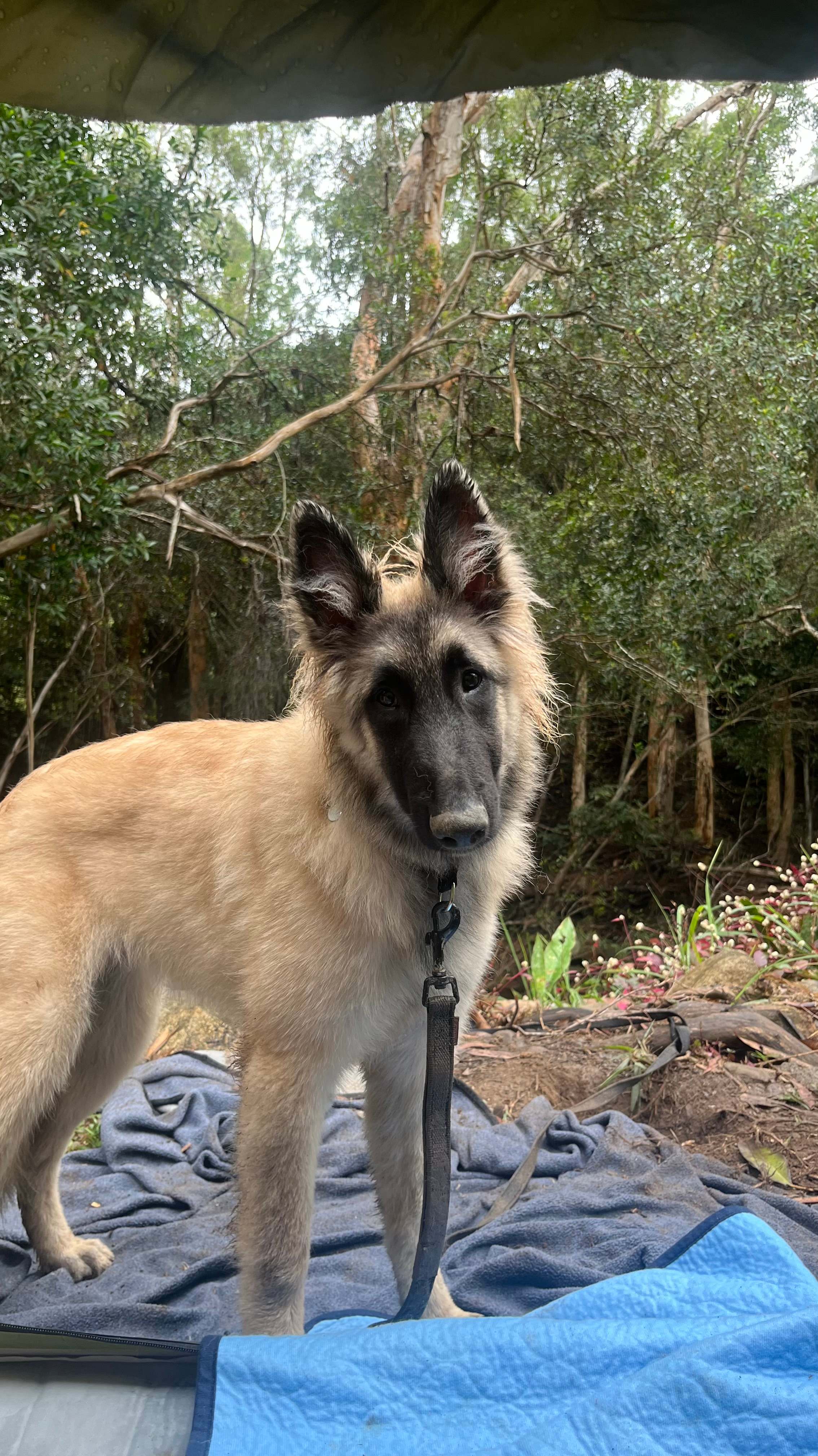 Hartleys Creek Retreat