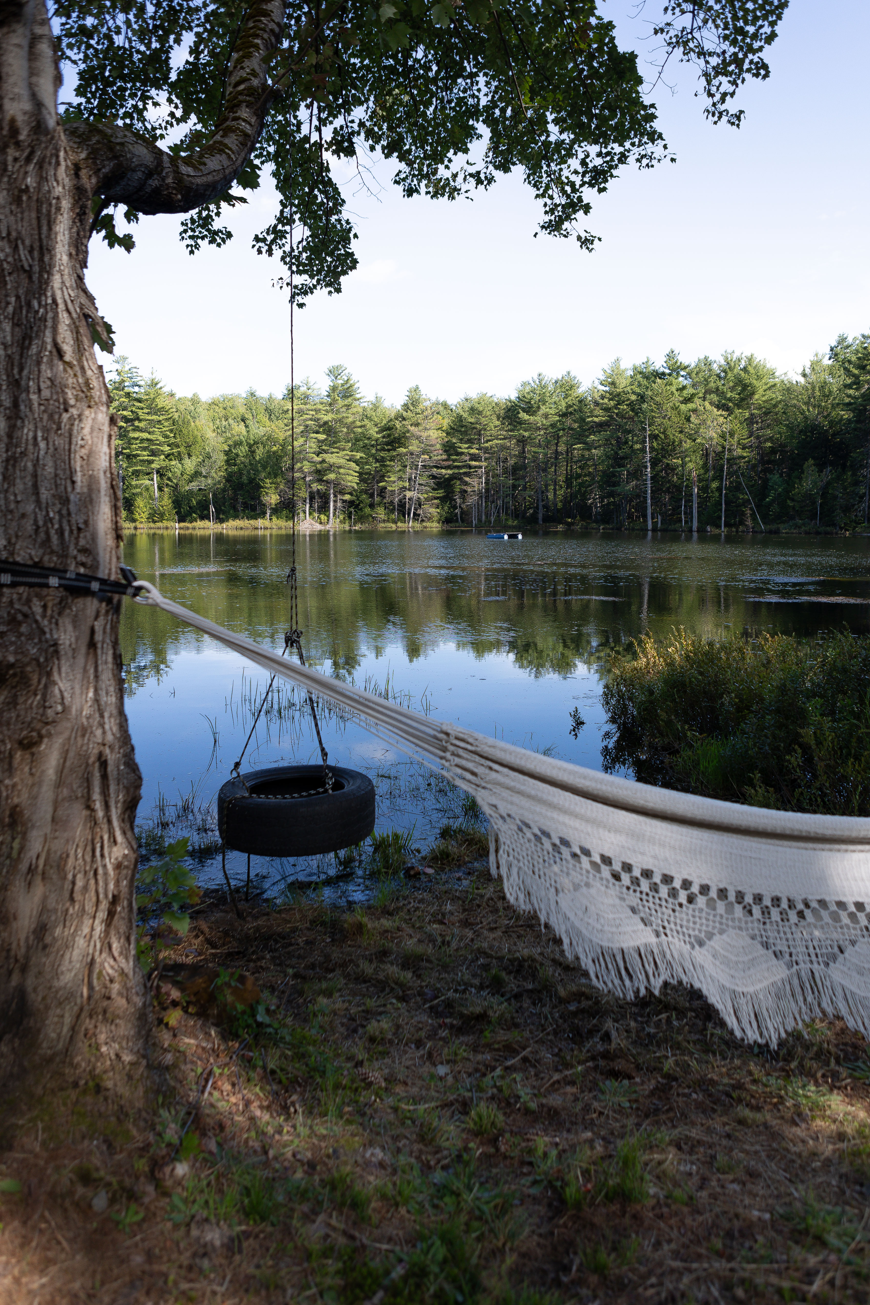 Chill On The Hill, Waterfront Cabin
