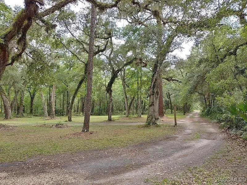 Secluded RV Campsite