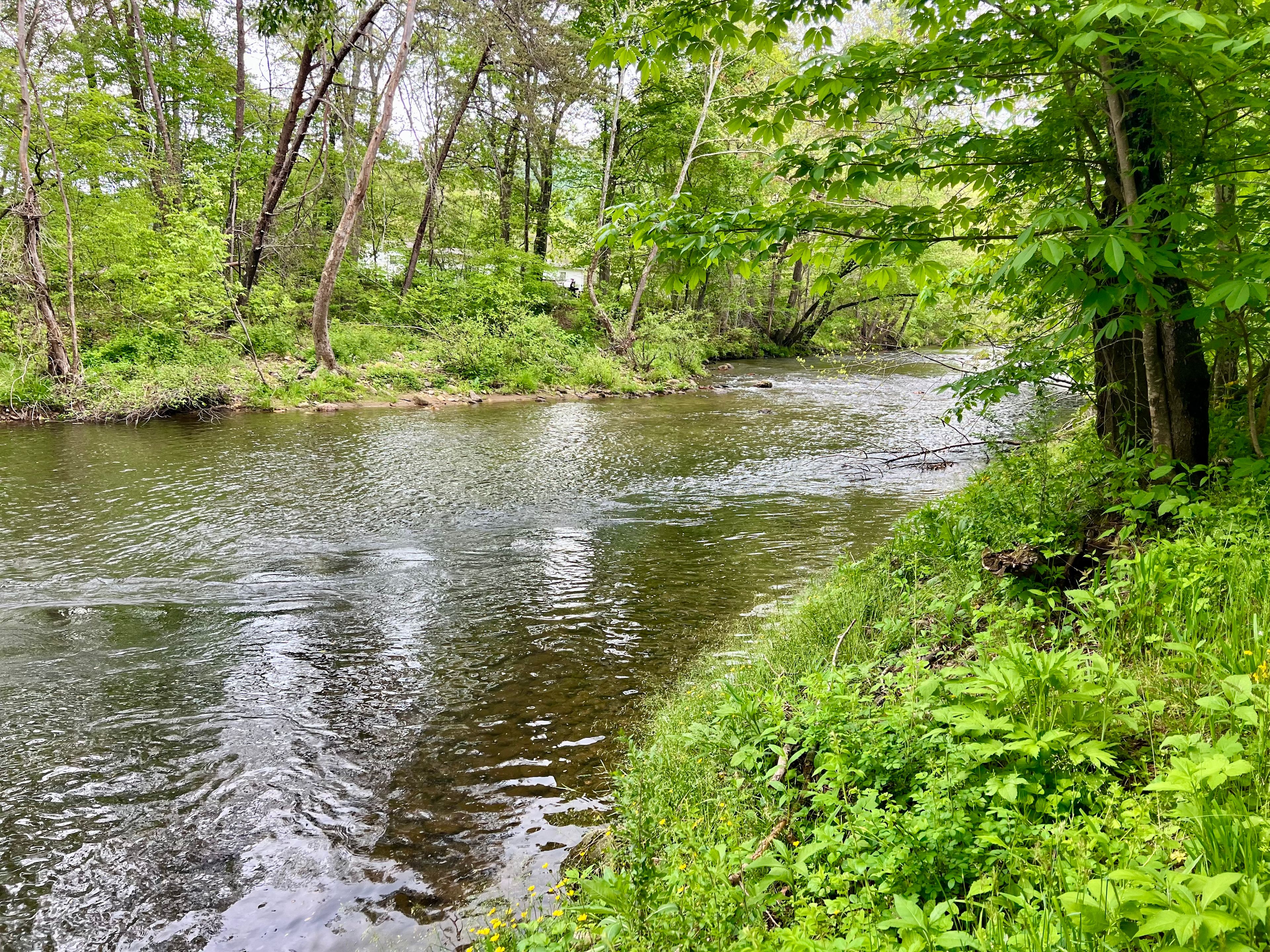 Riverbend RV & Tent Campground