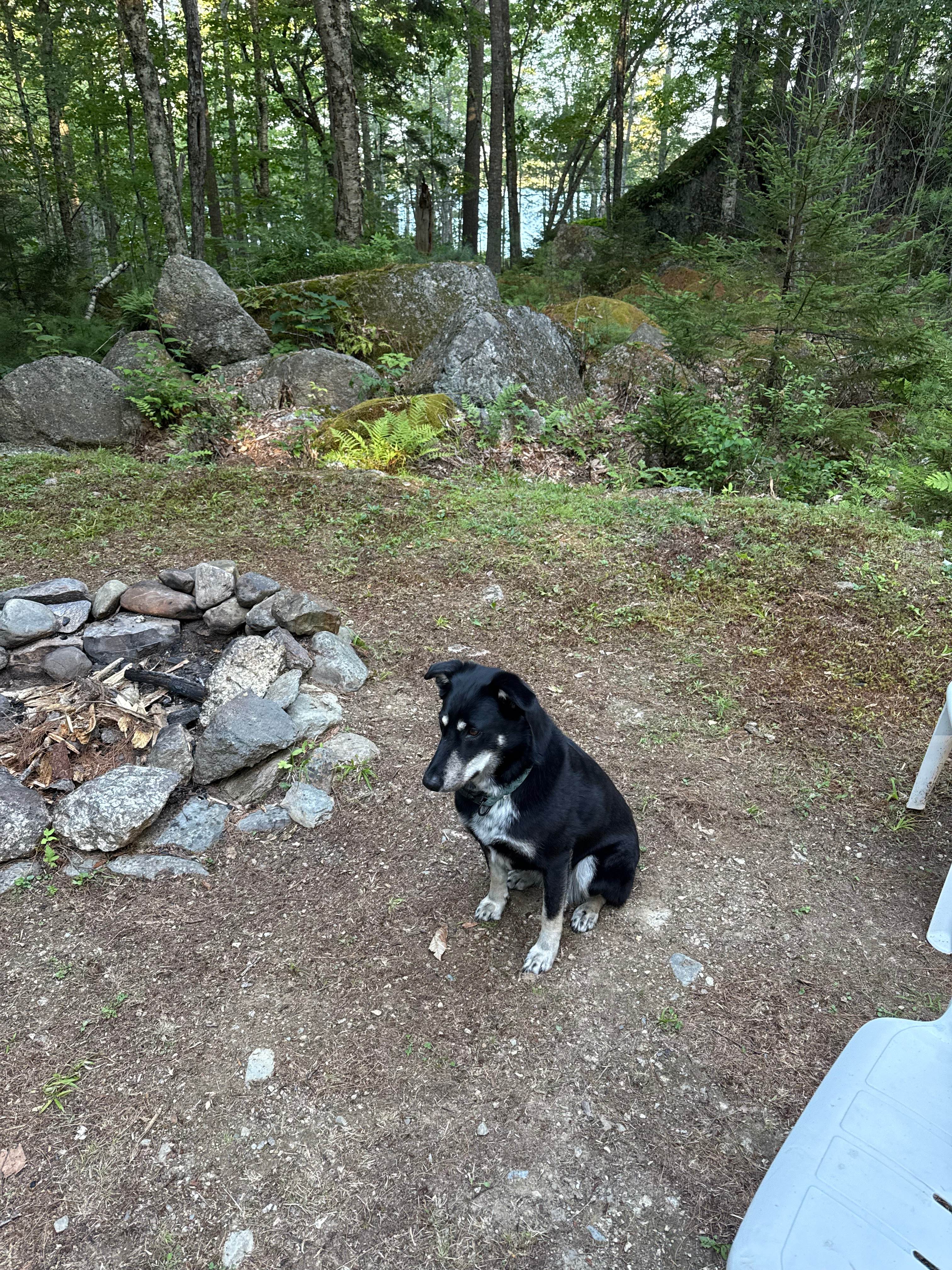 Private Campsite w Lake option