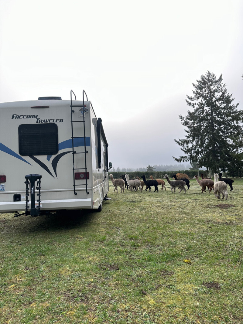 Mt. View Alpaca Farm