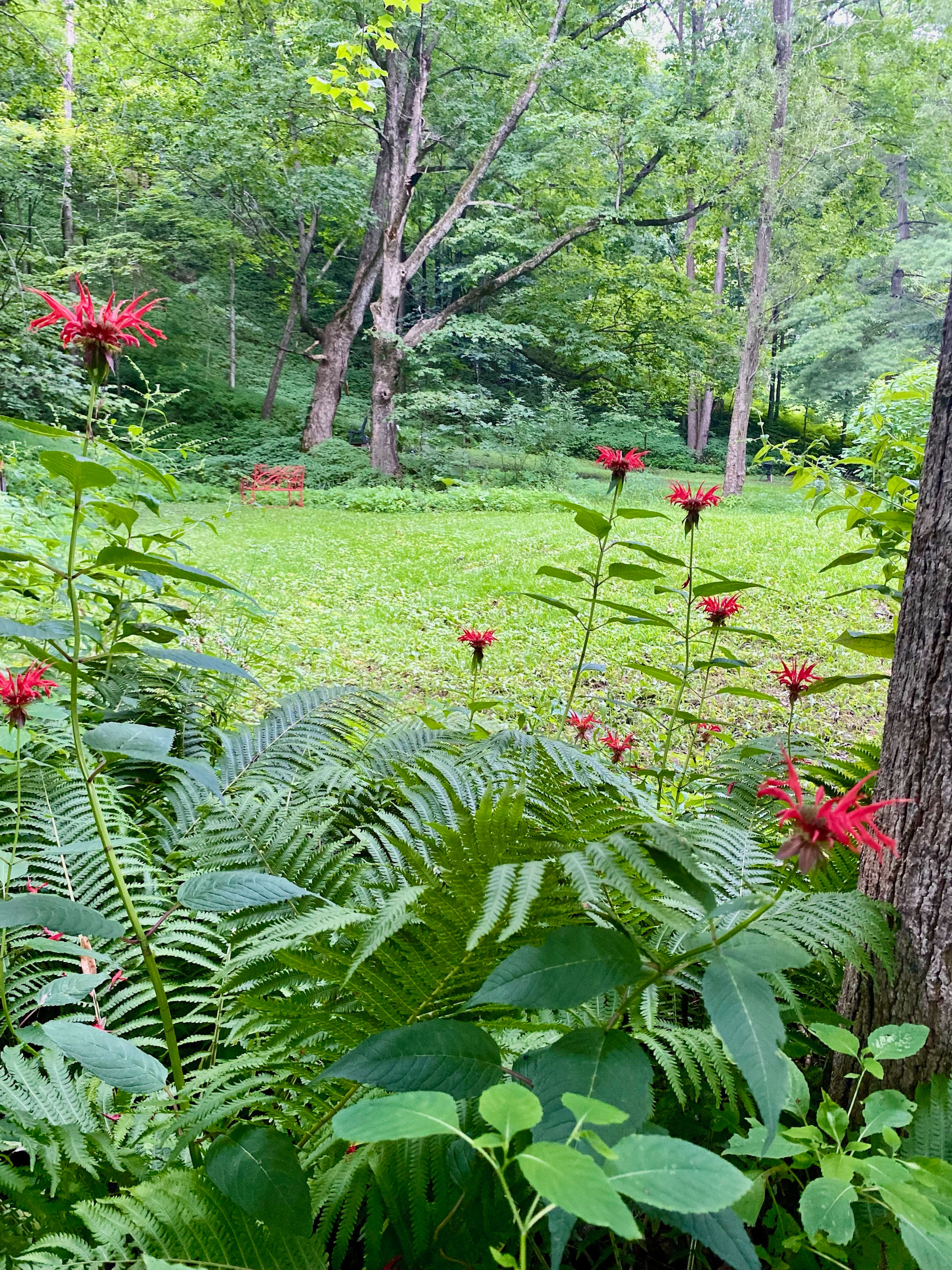 Hideaway Camper by the Cave 2.0