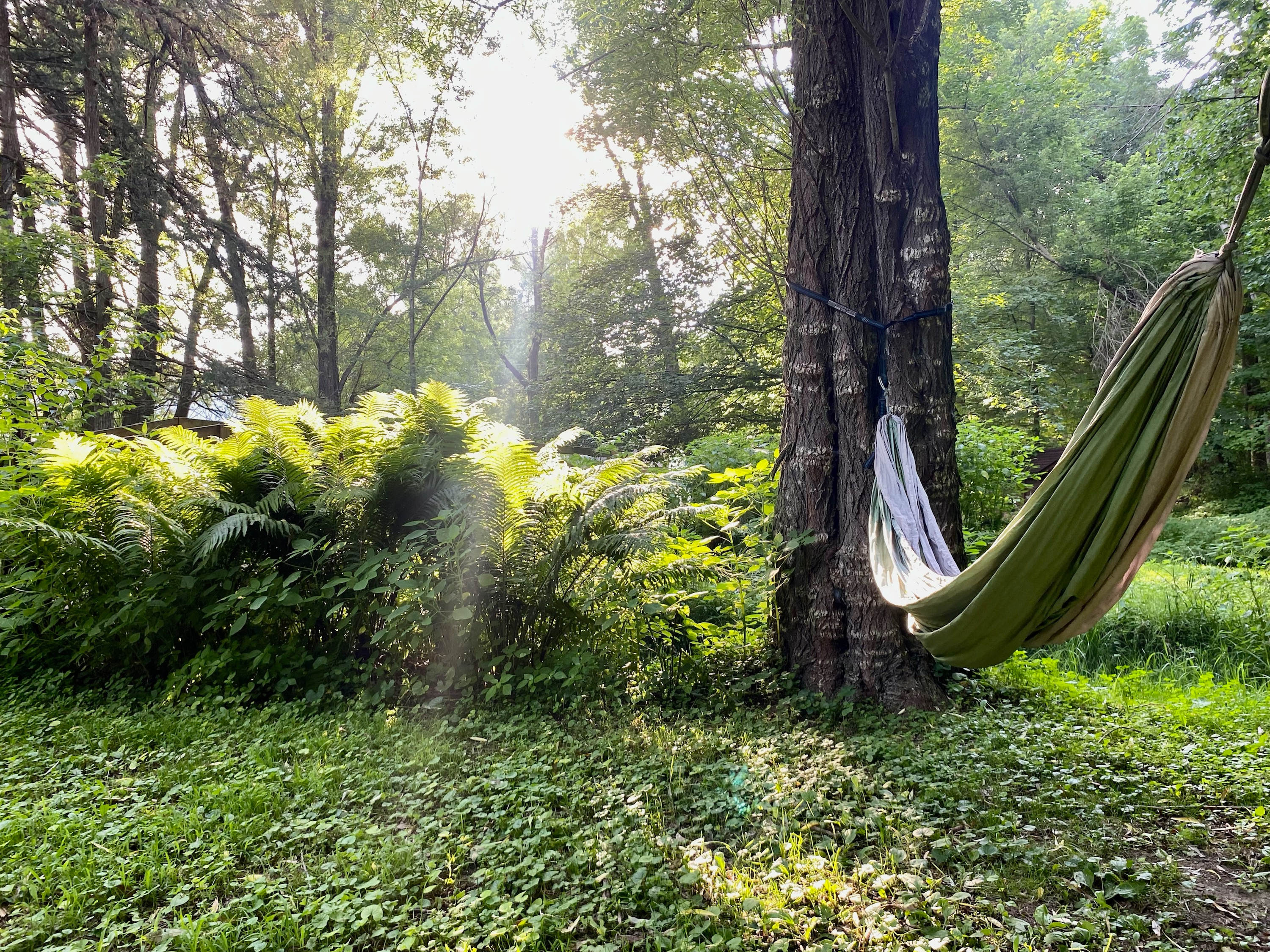 Hideaway Camper by the Cave 2.0