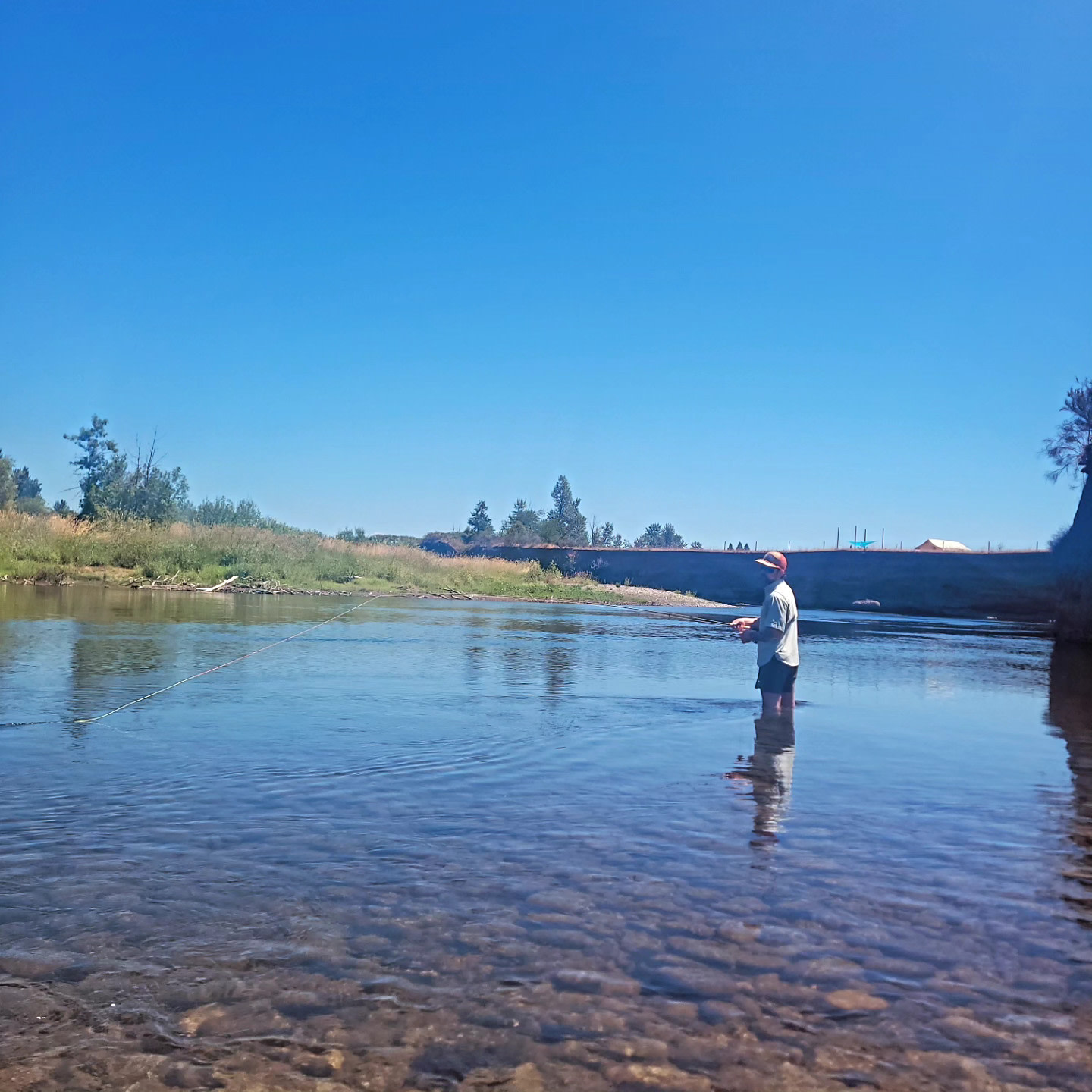 Can't keep him away from the water lol. Super pretty and isolated. 