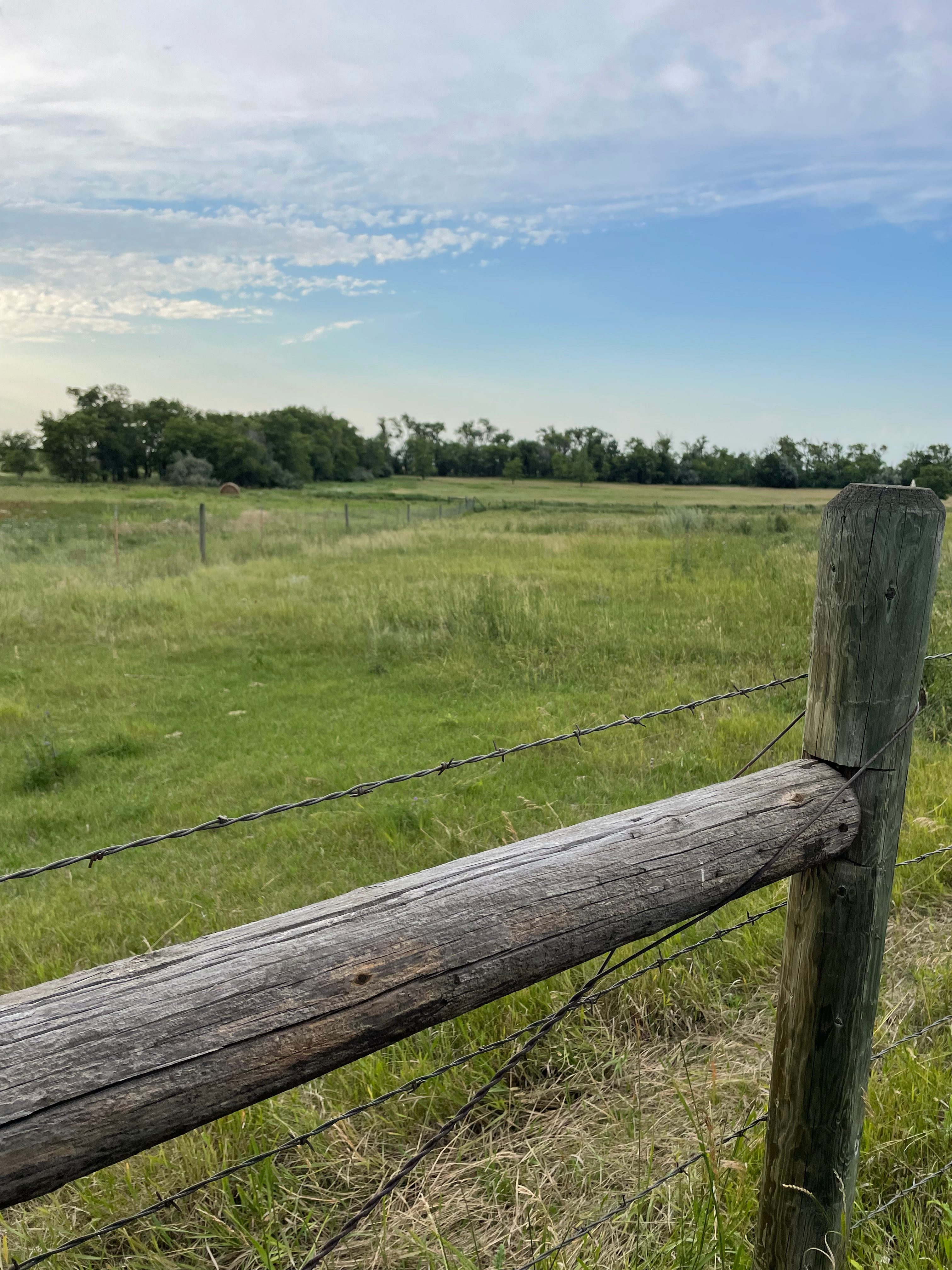 View of corral where your horse can stay