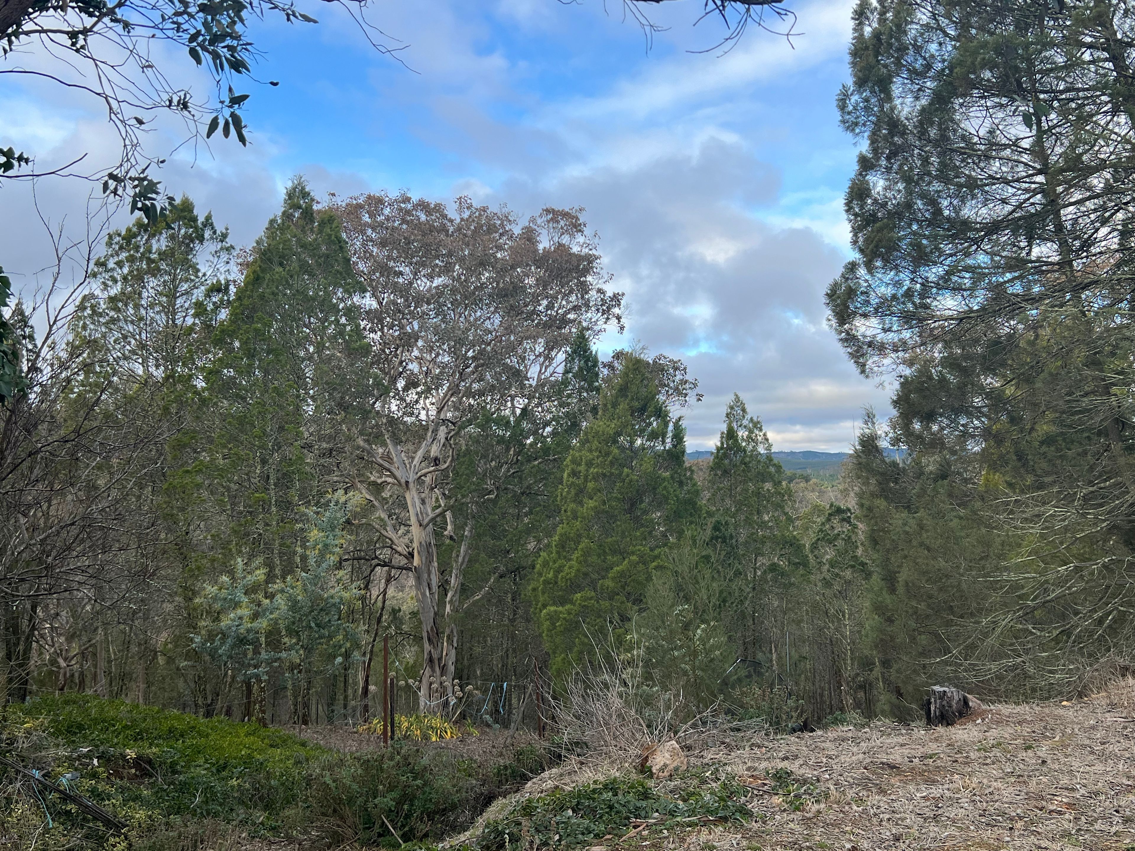 Bush Rest for Canberra Adventure