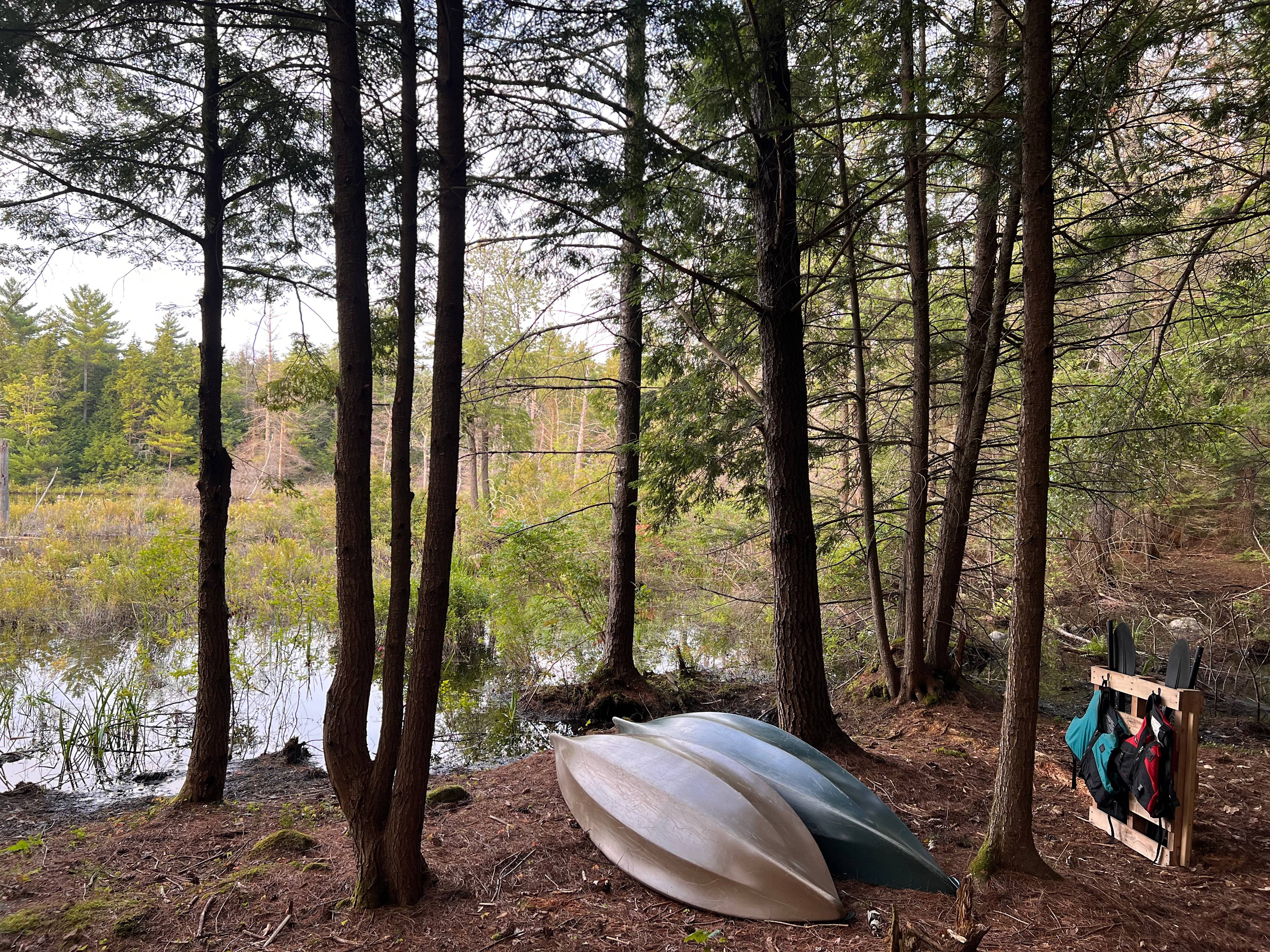 Two 10’ kayaks available for you to enjoy. The view is ever changing with the season and water
 level. 