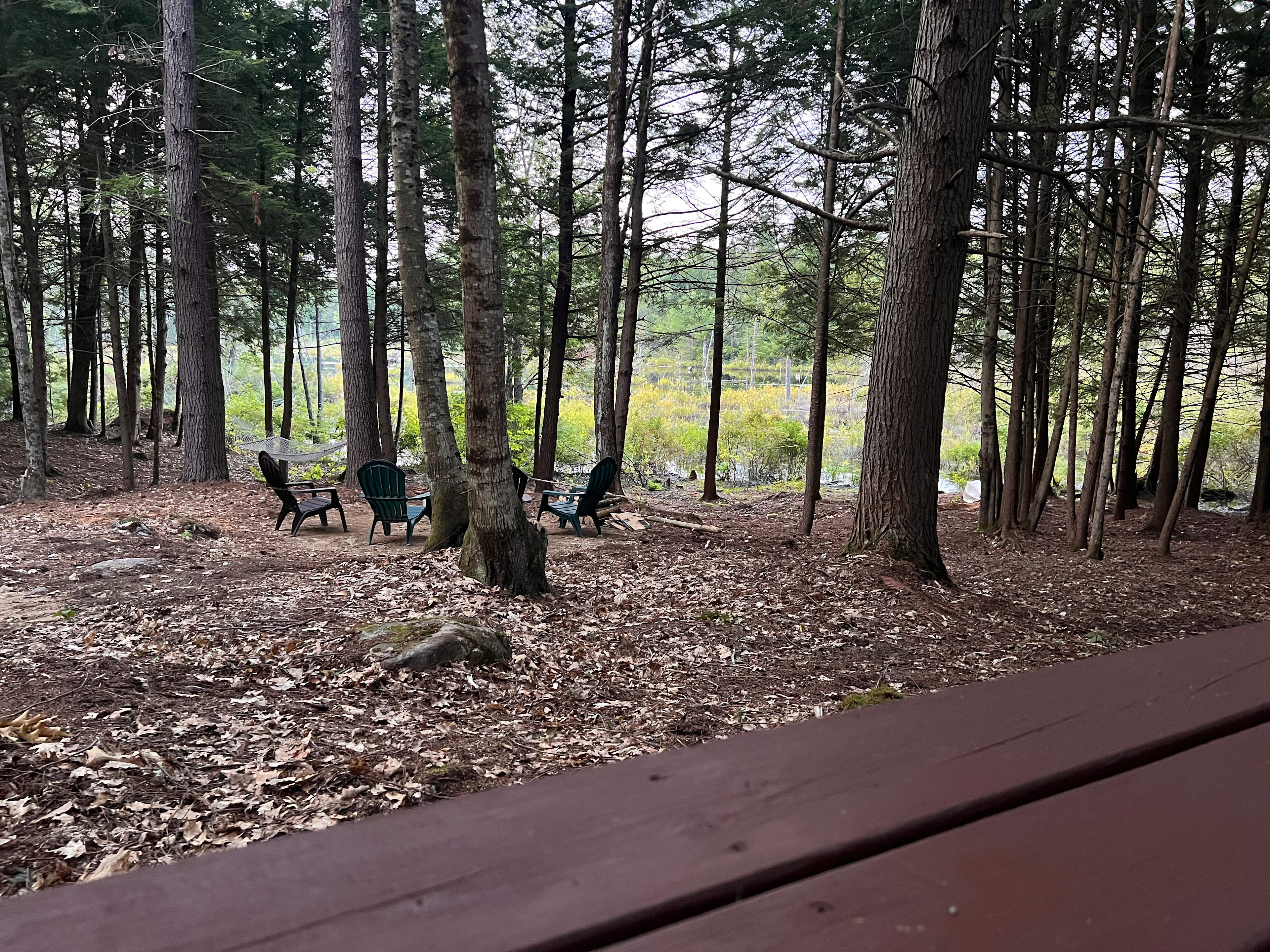 View from picnic table.