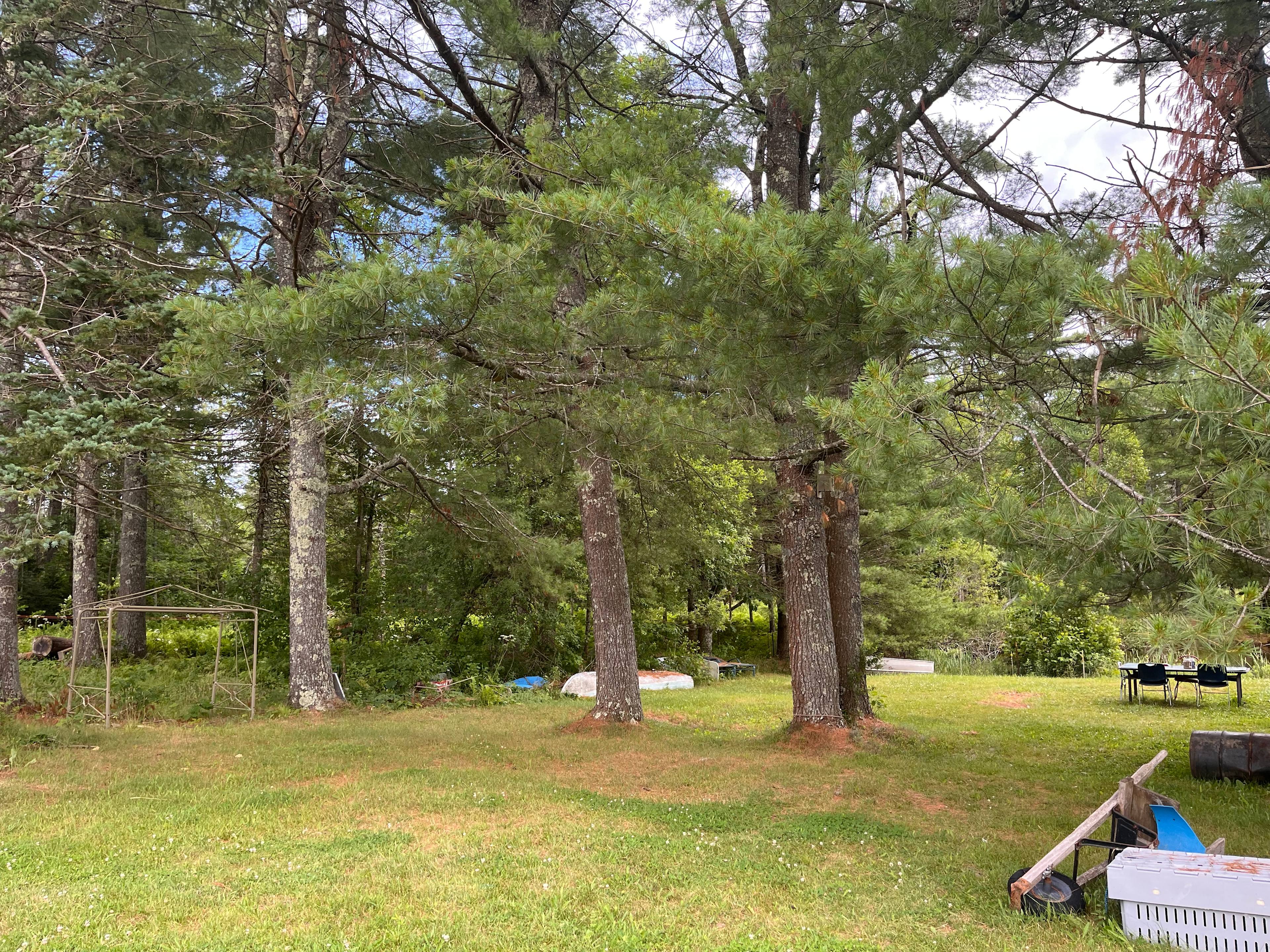 Grandpa Jessie’s backyard