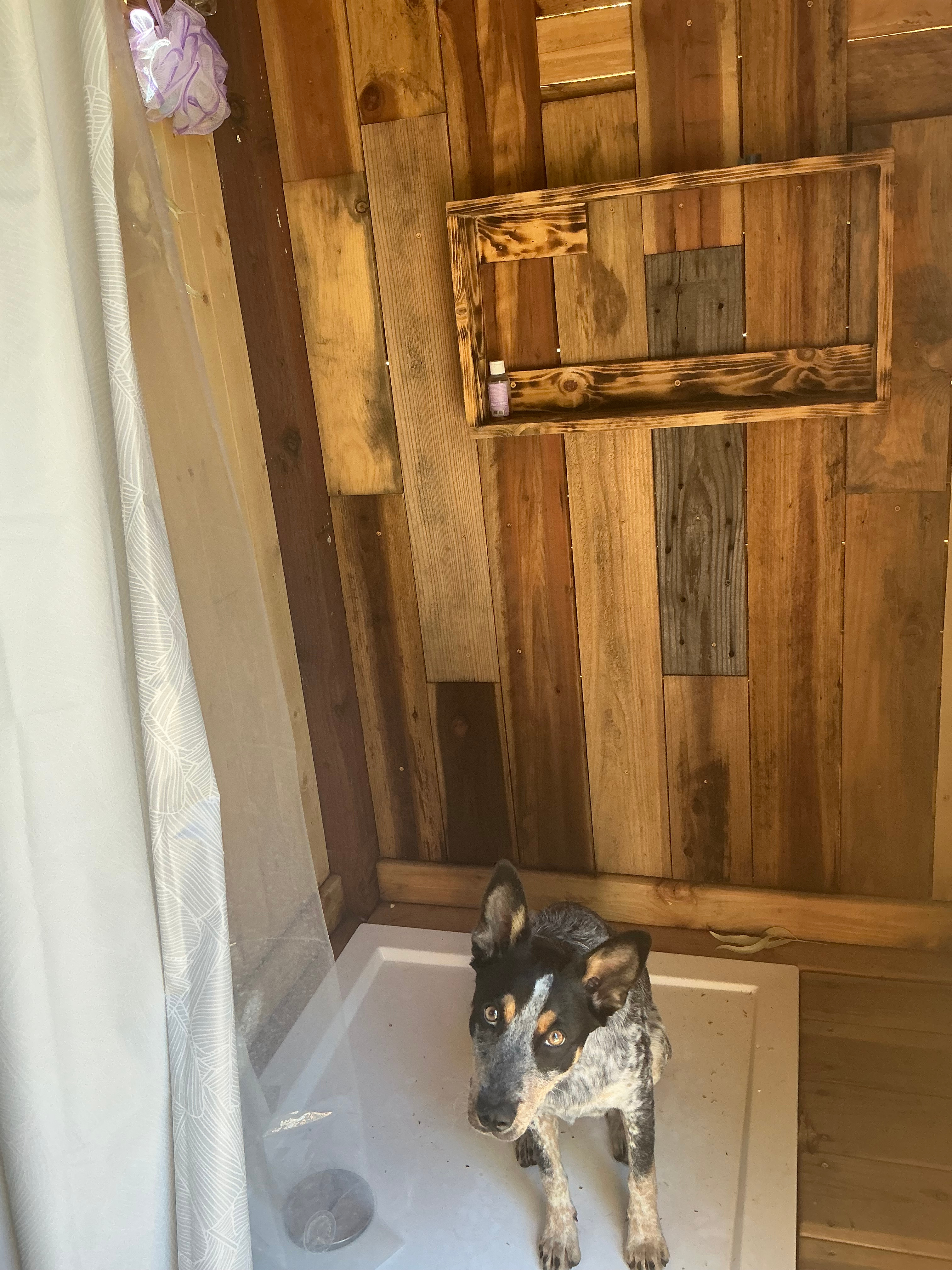 Grand Ojai Pixies