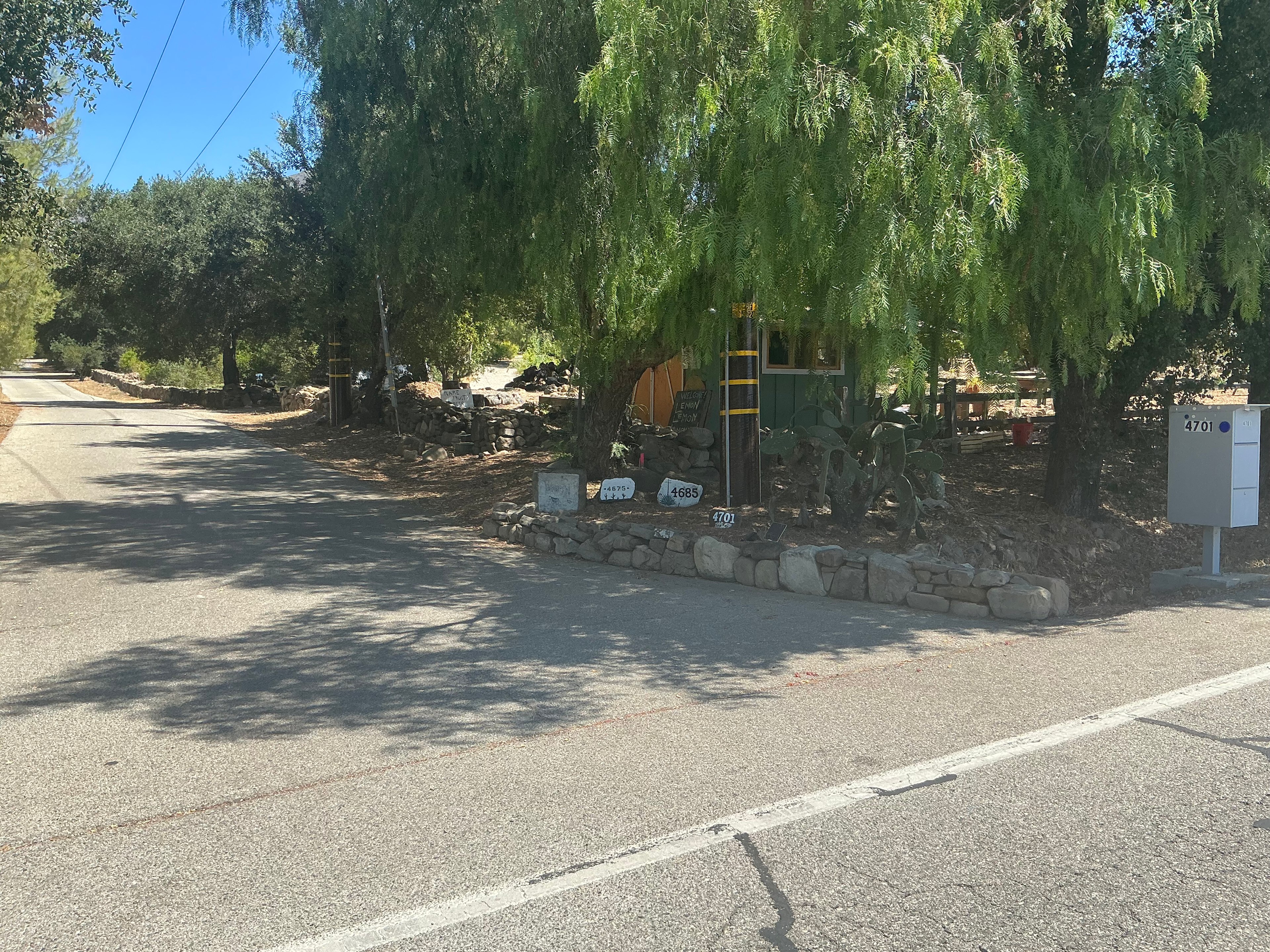 Grand Ojai Pixies