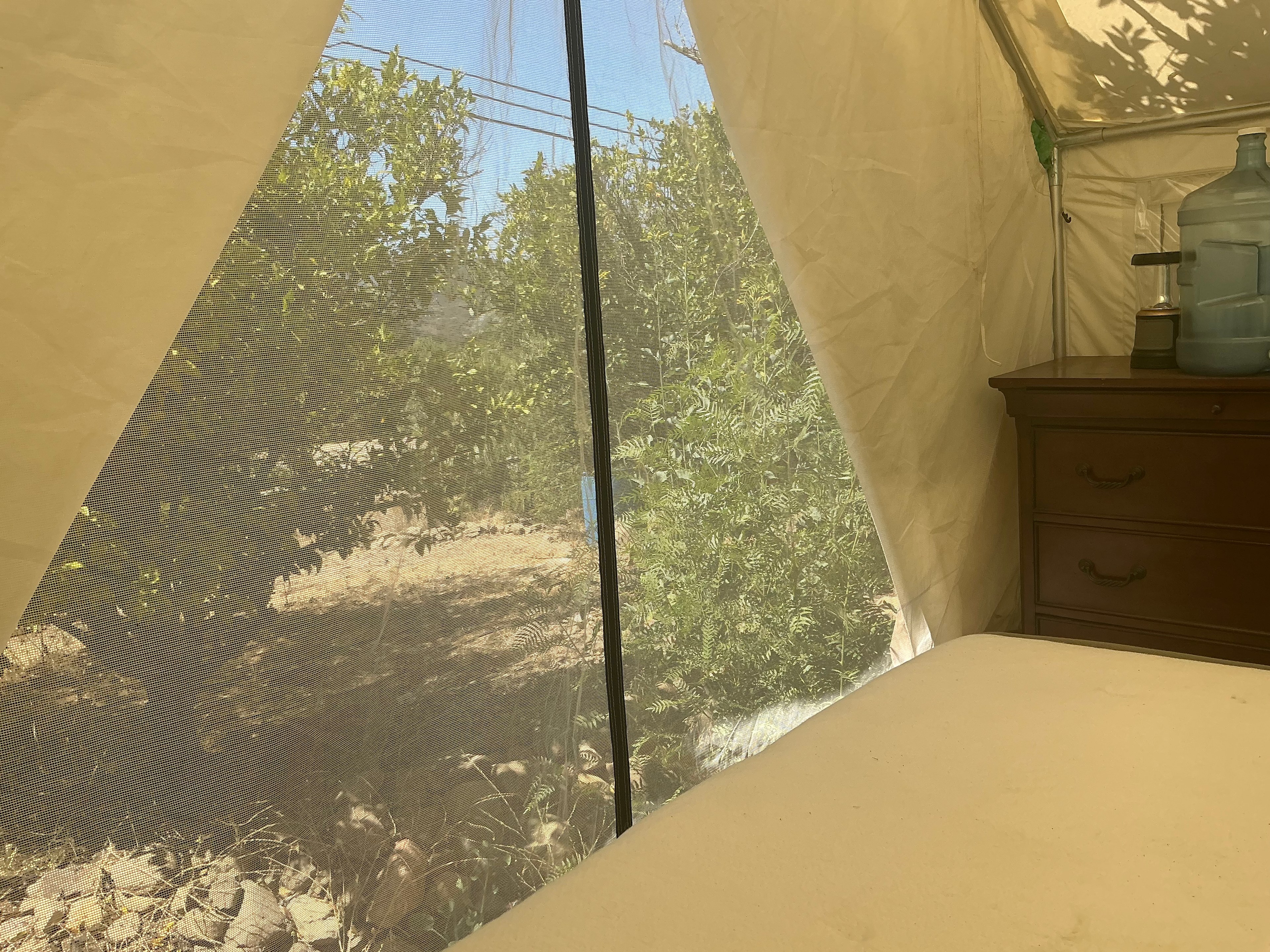 Grand Ojai Pixies
