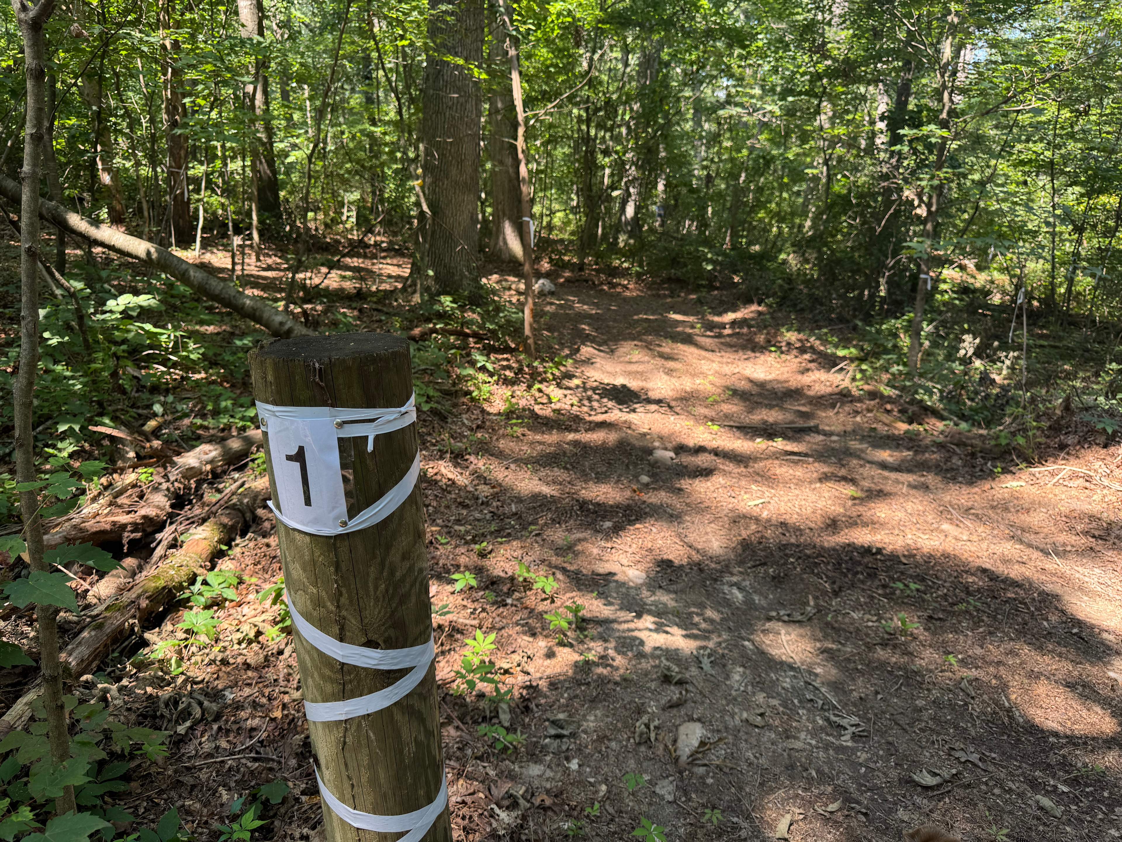 Road Runner Base Camp