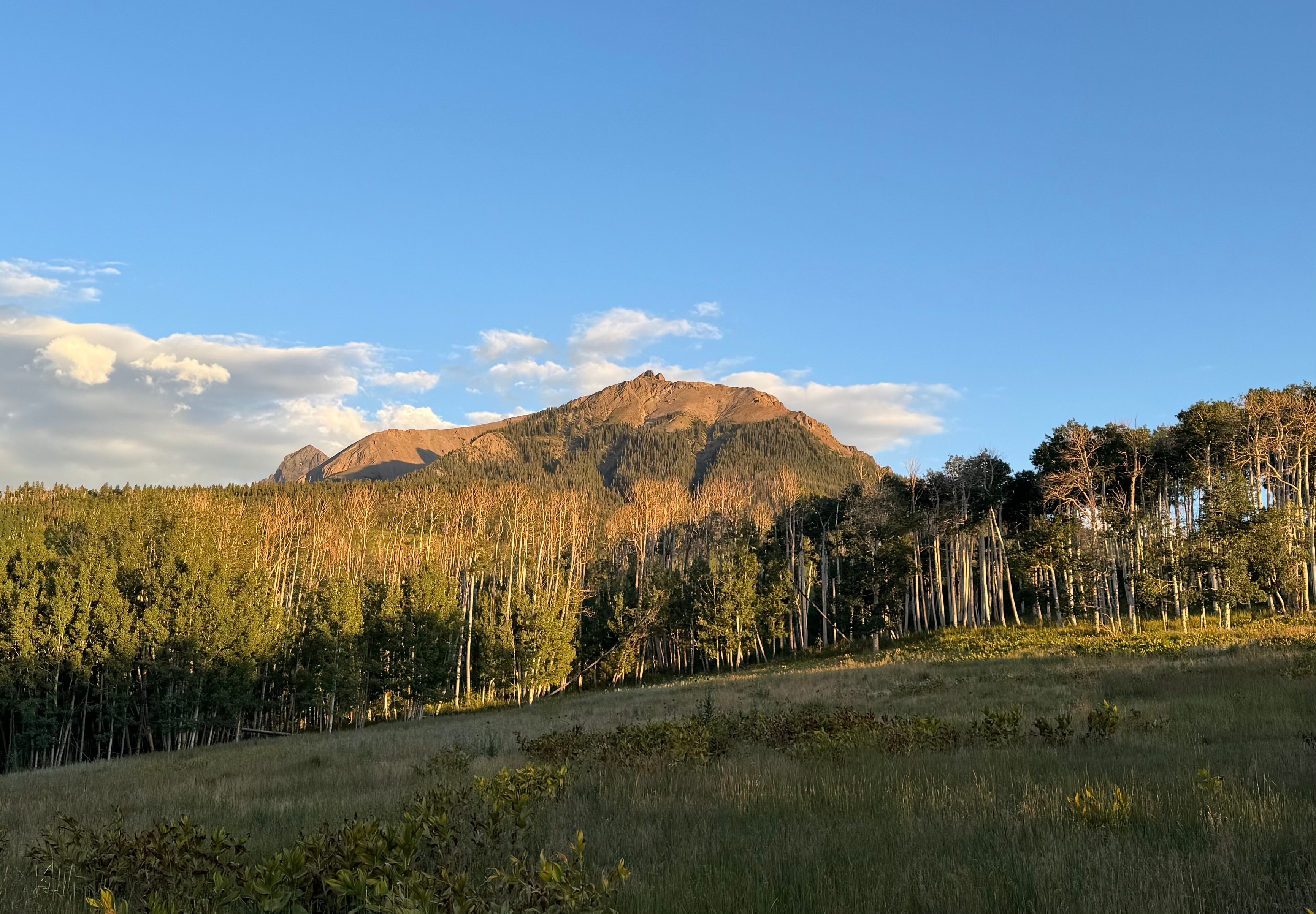 Hastings Mesa Nature Camp