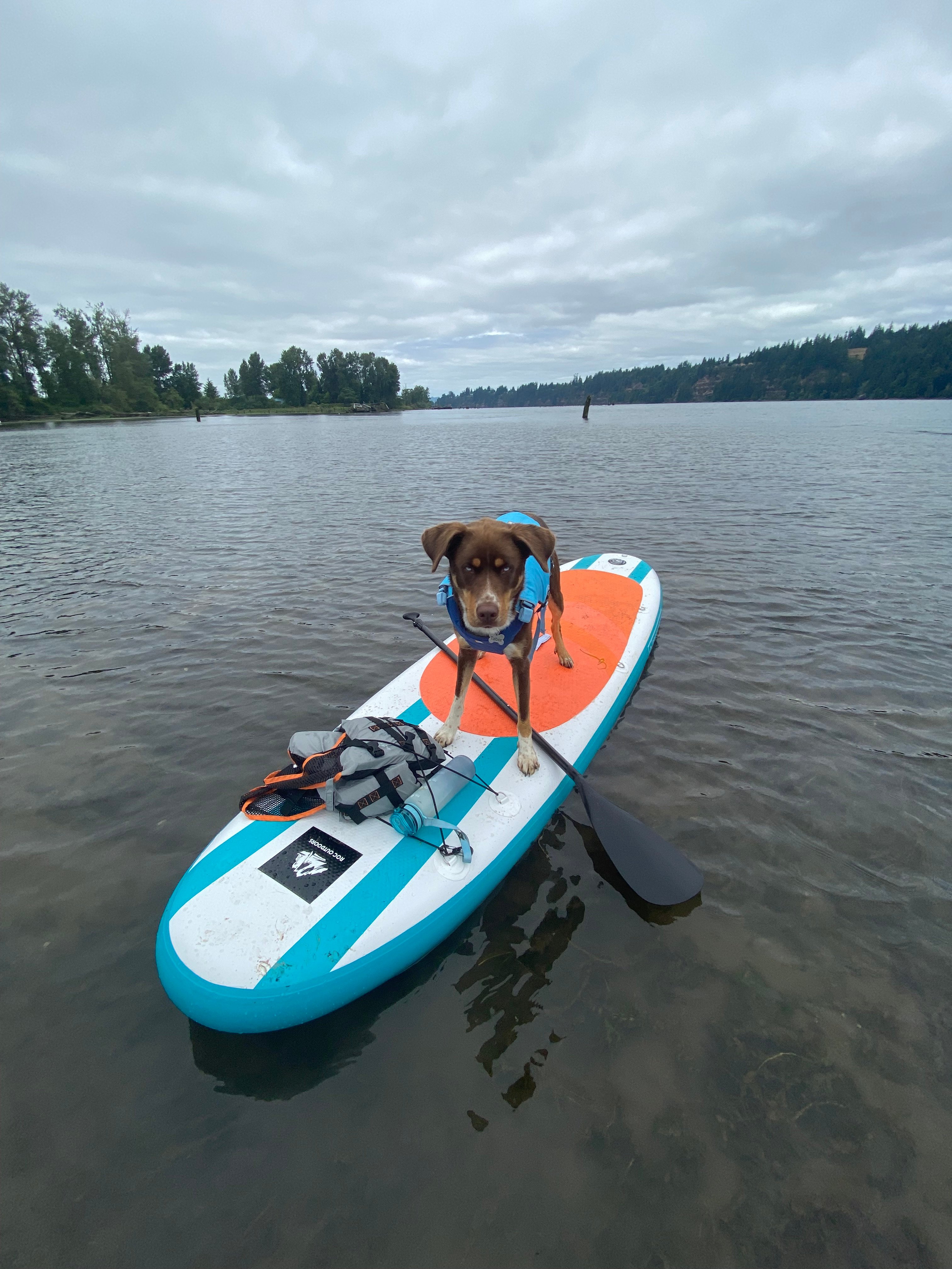 Slow Boat Farm - Island Camping