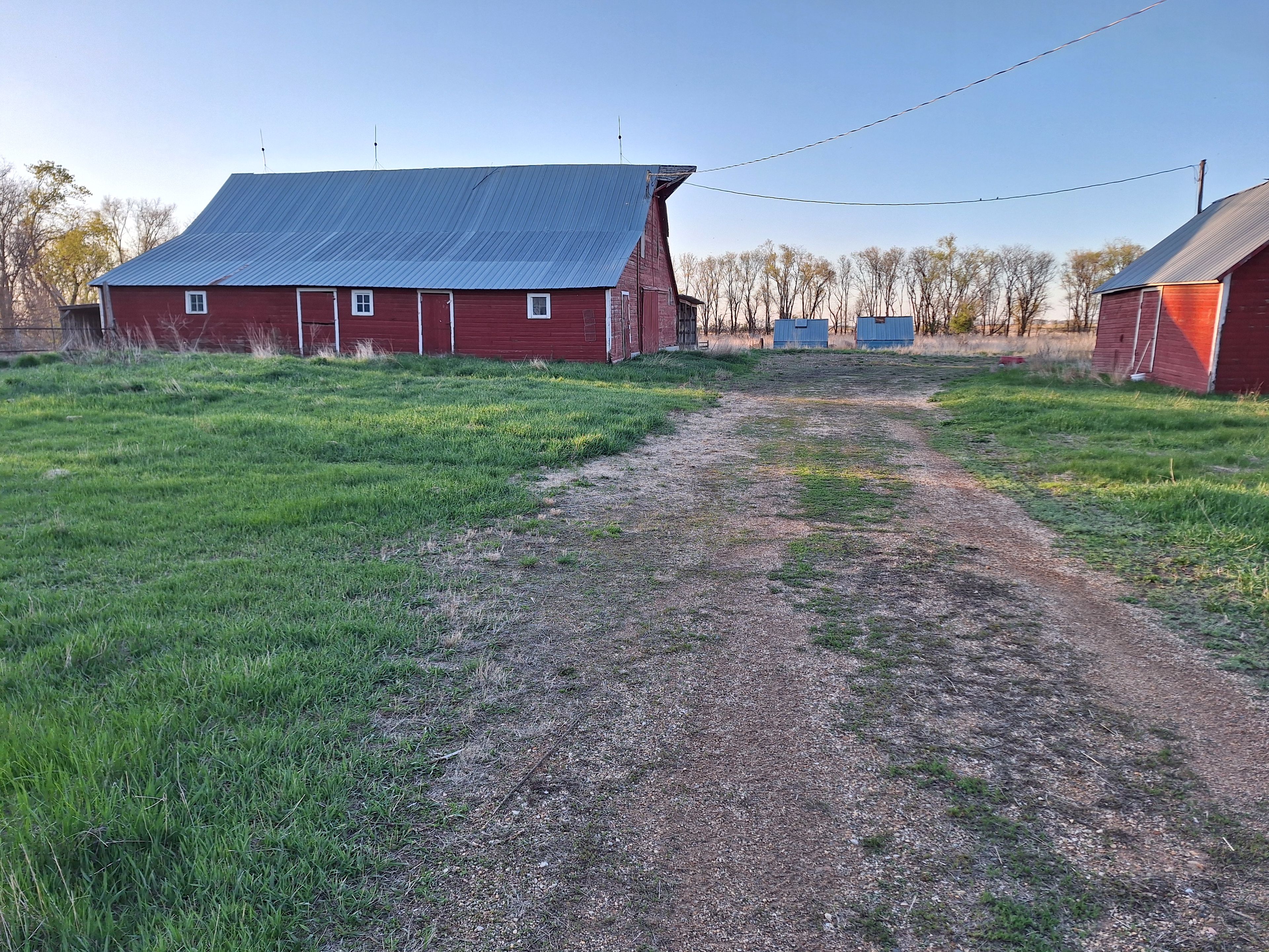 Silly Goose Farm - Cut Flower Farm