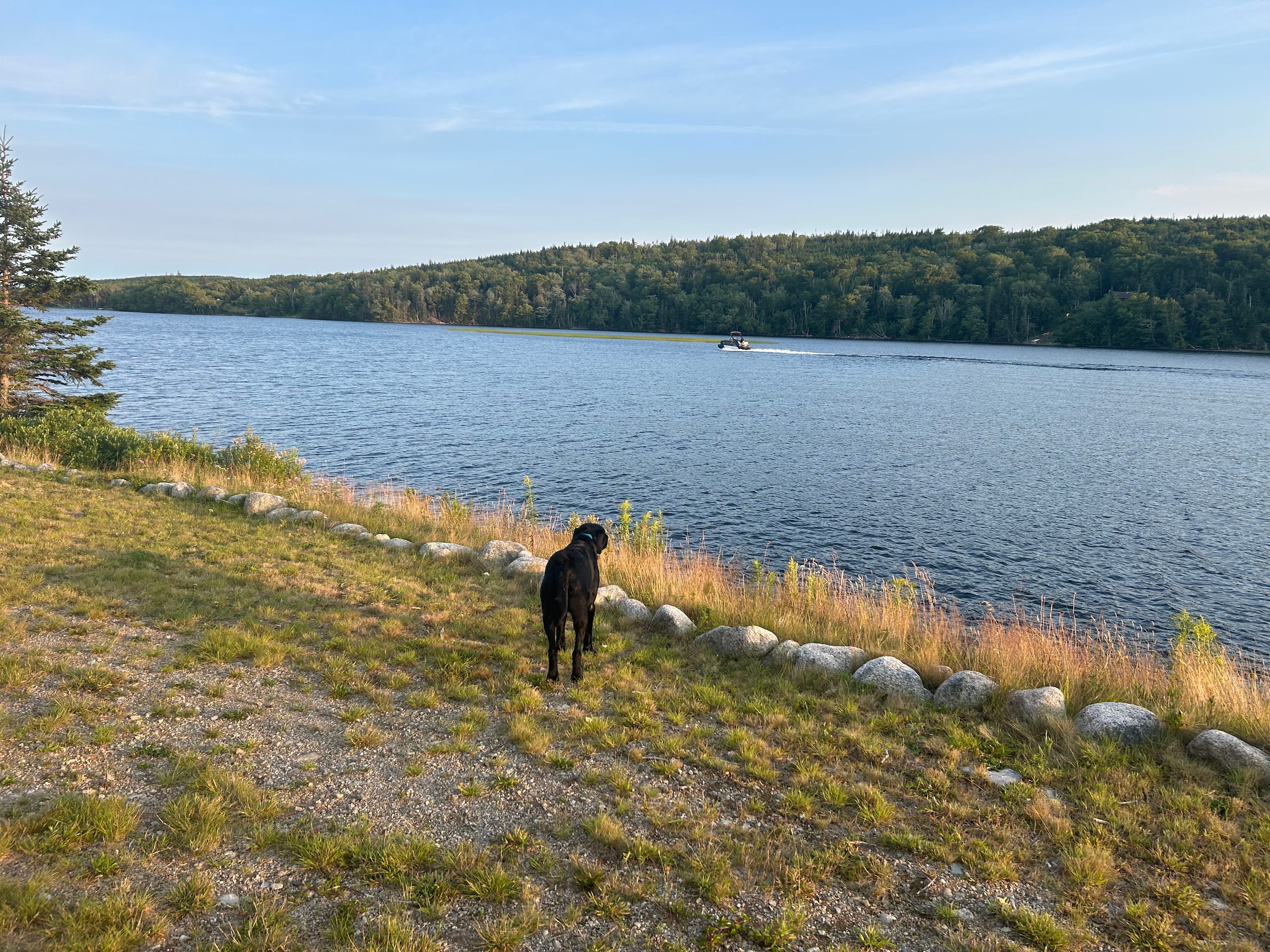 The Hanna's Life on the Lake Escape
