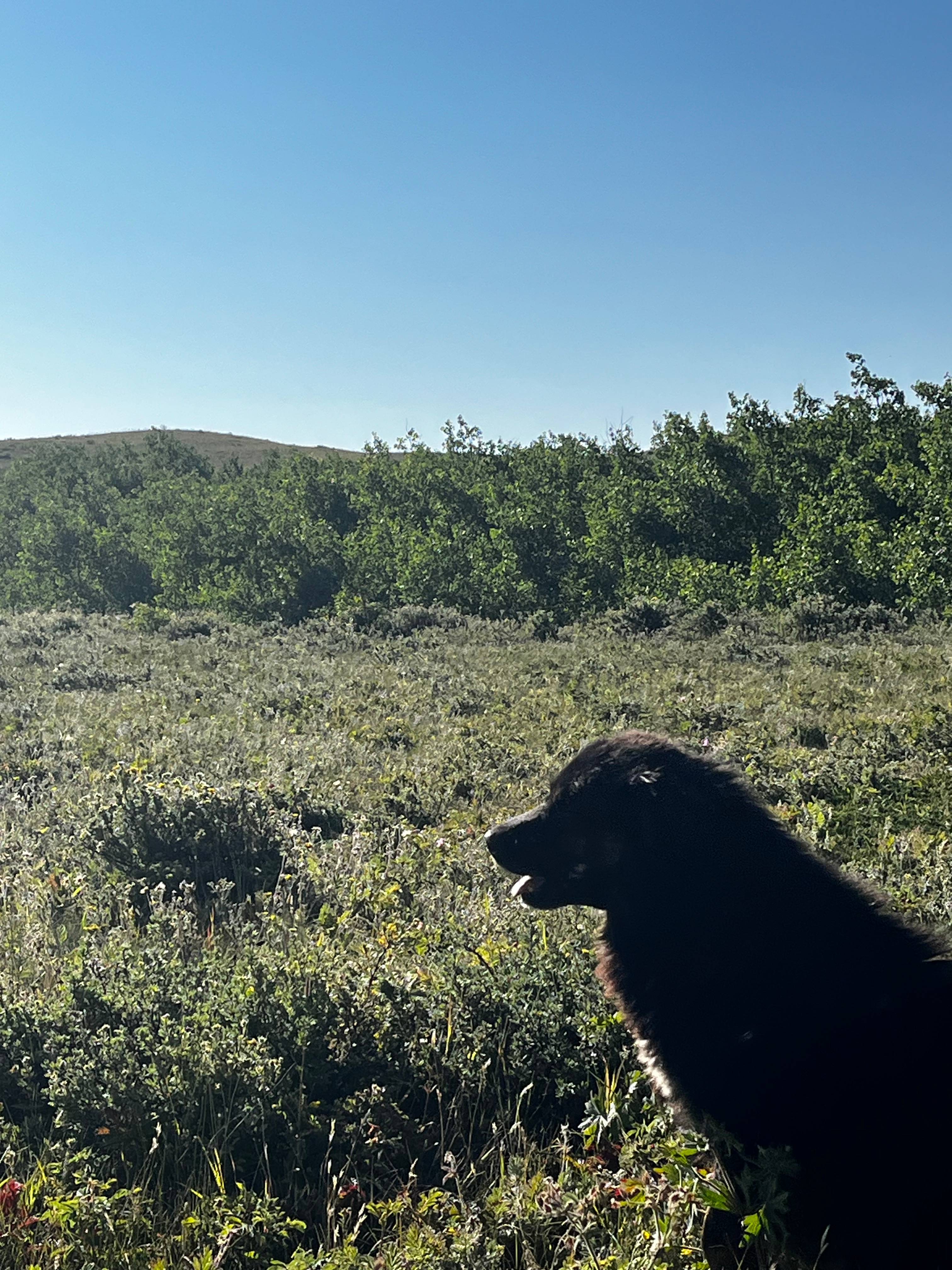 Home Gun Ranch Primitive Camping