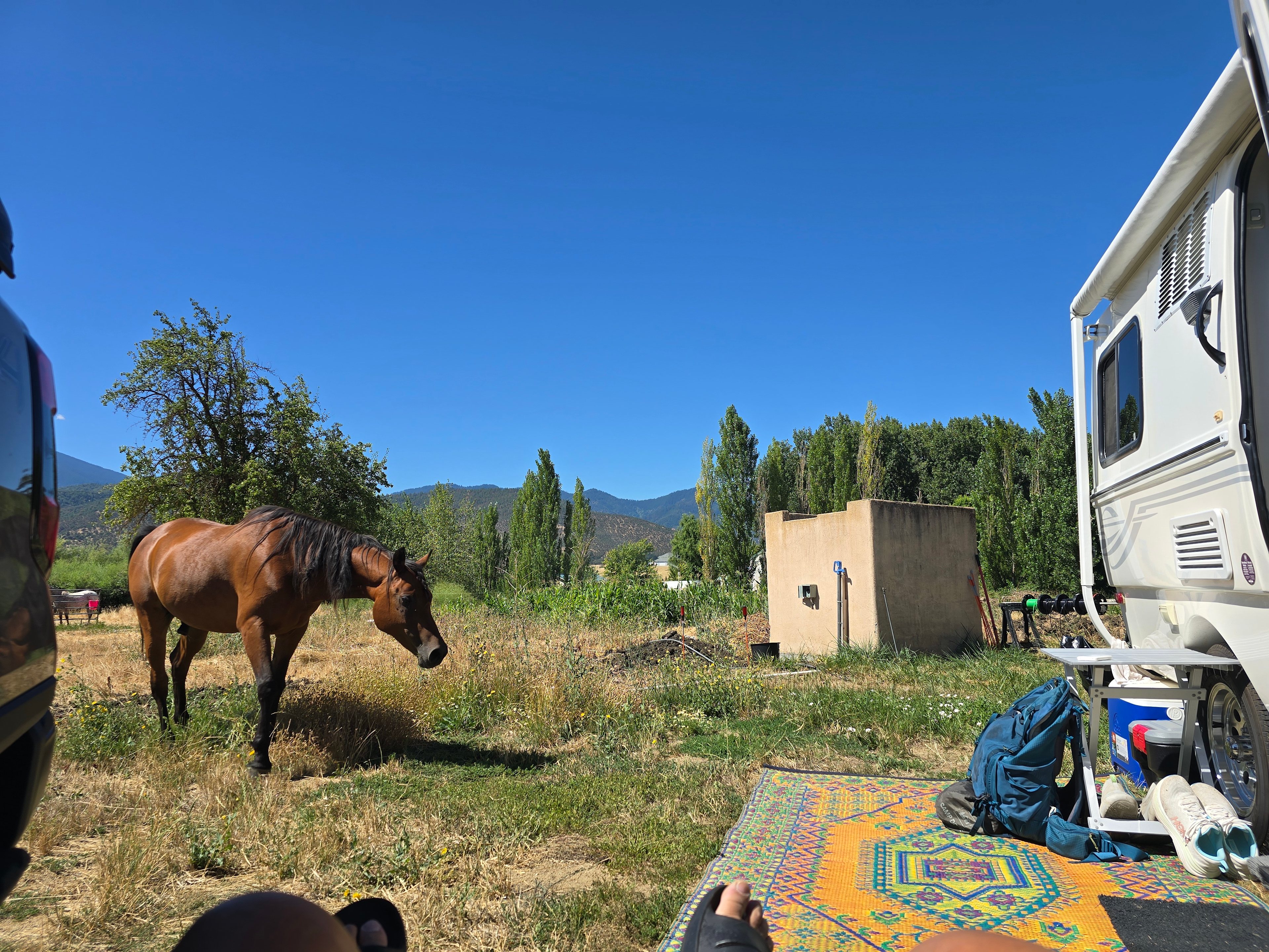 Nosy but friendly neighbors (best part of stay)