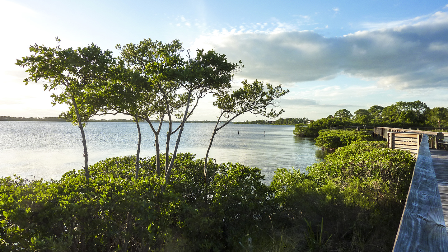 Myakka River Motorcoach Resort