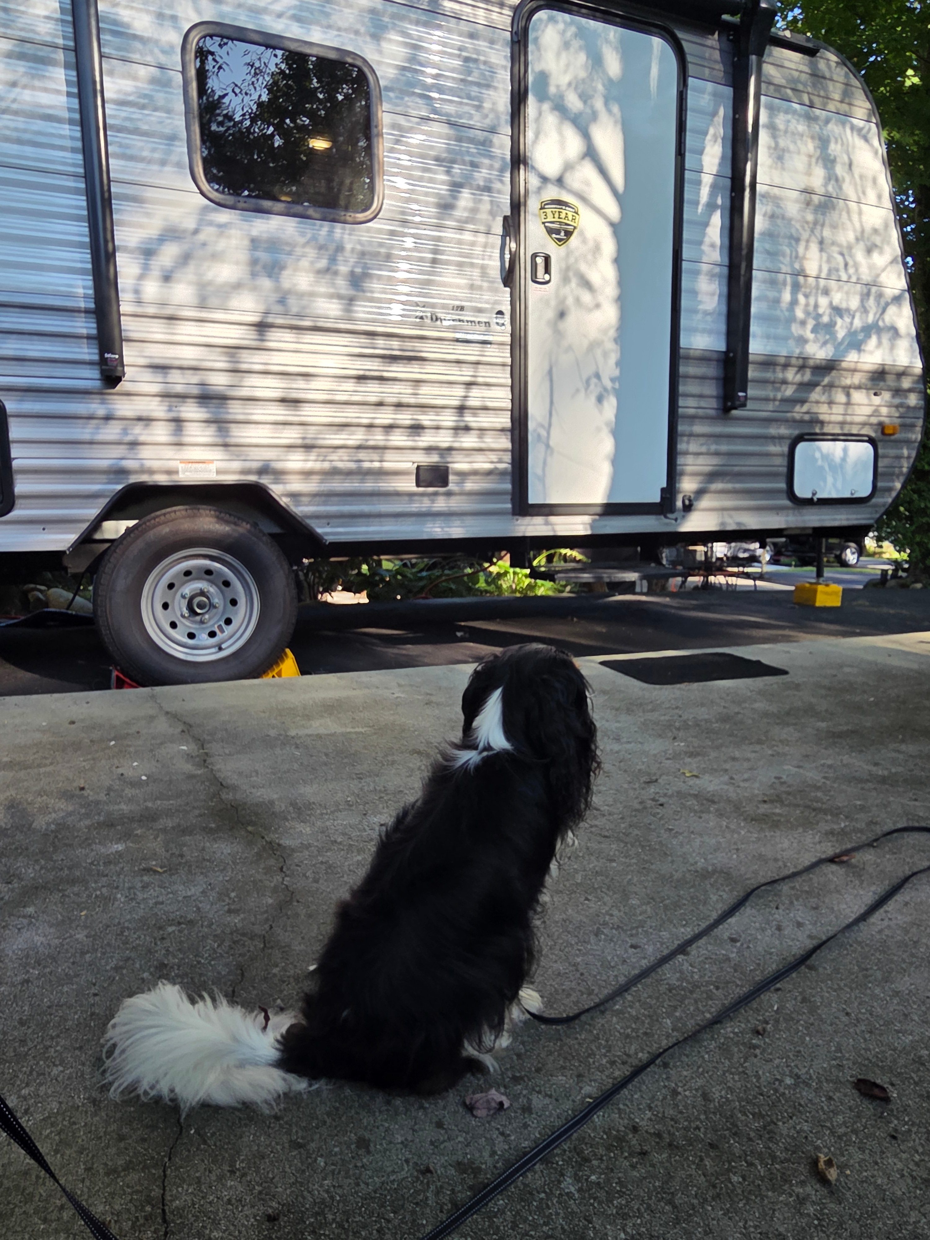 Gatlinburg Vibes RV Camping