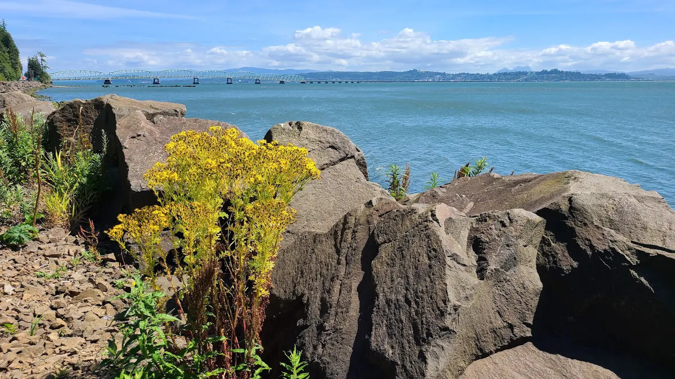 RV Park At The Bridge