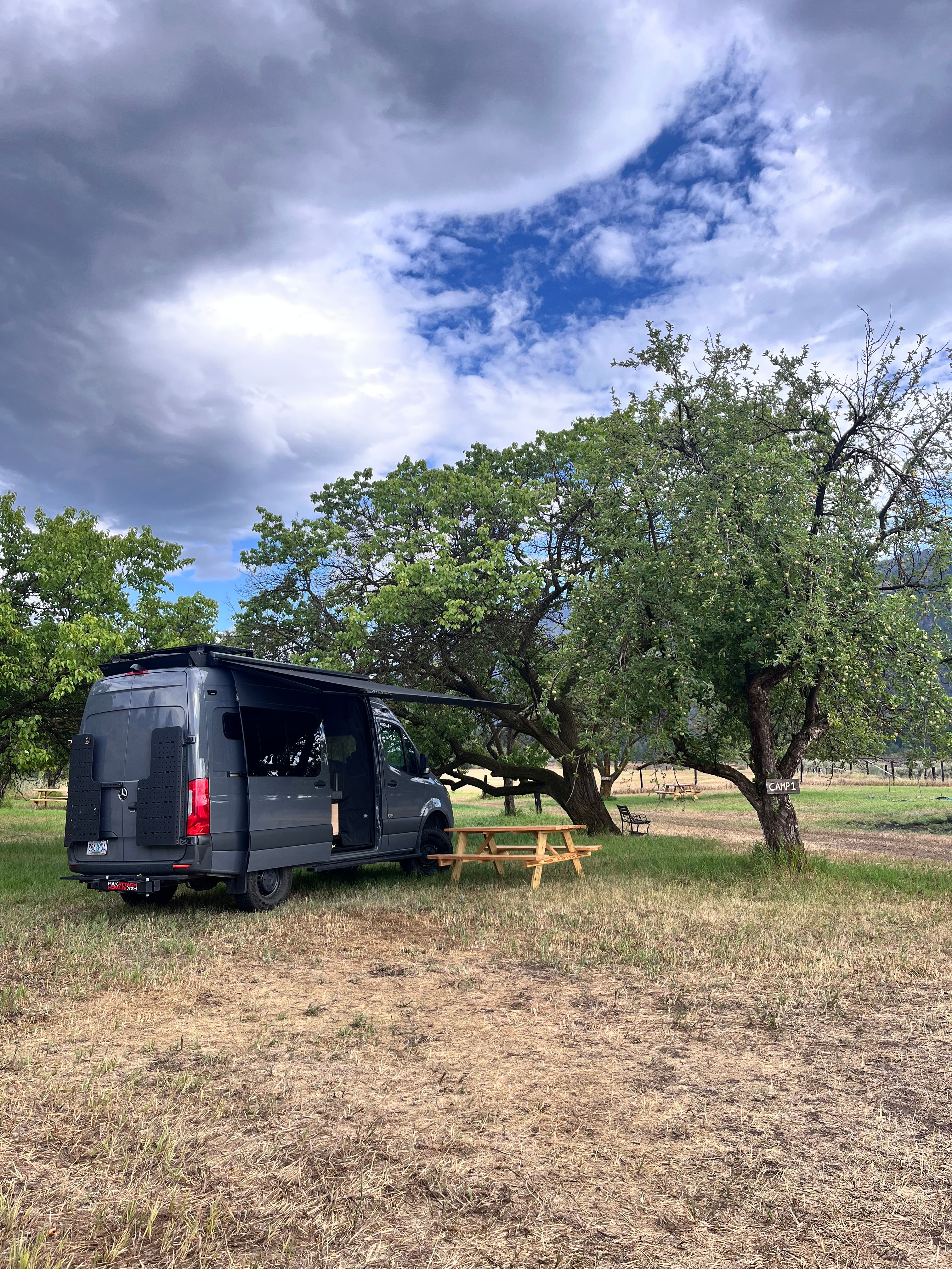 The Orchard On The Ol’ Homestead