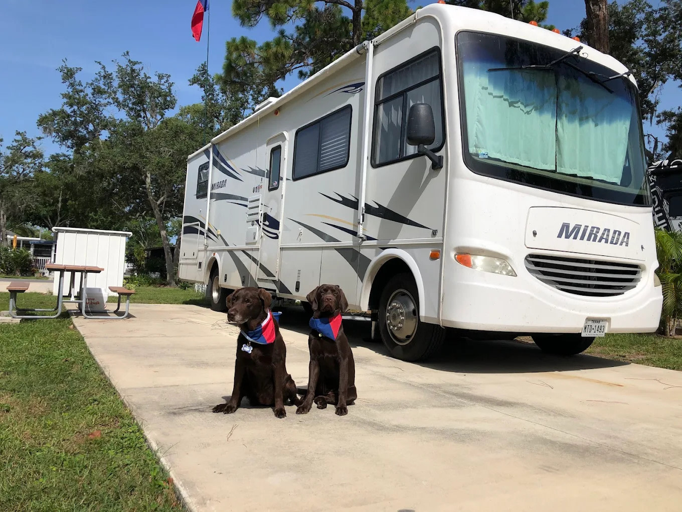 Sun Retreats Dunedin