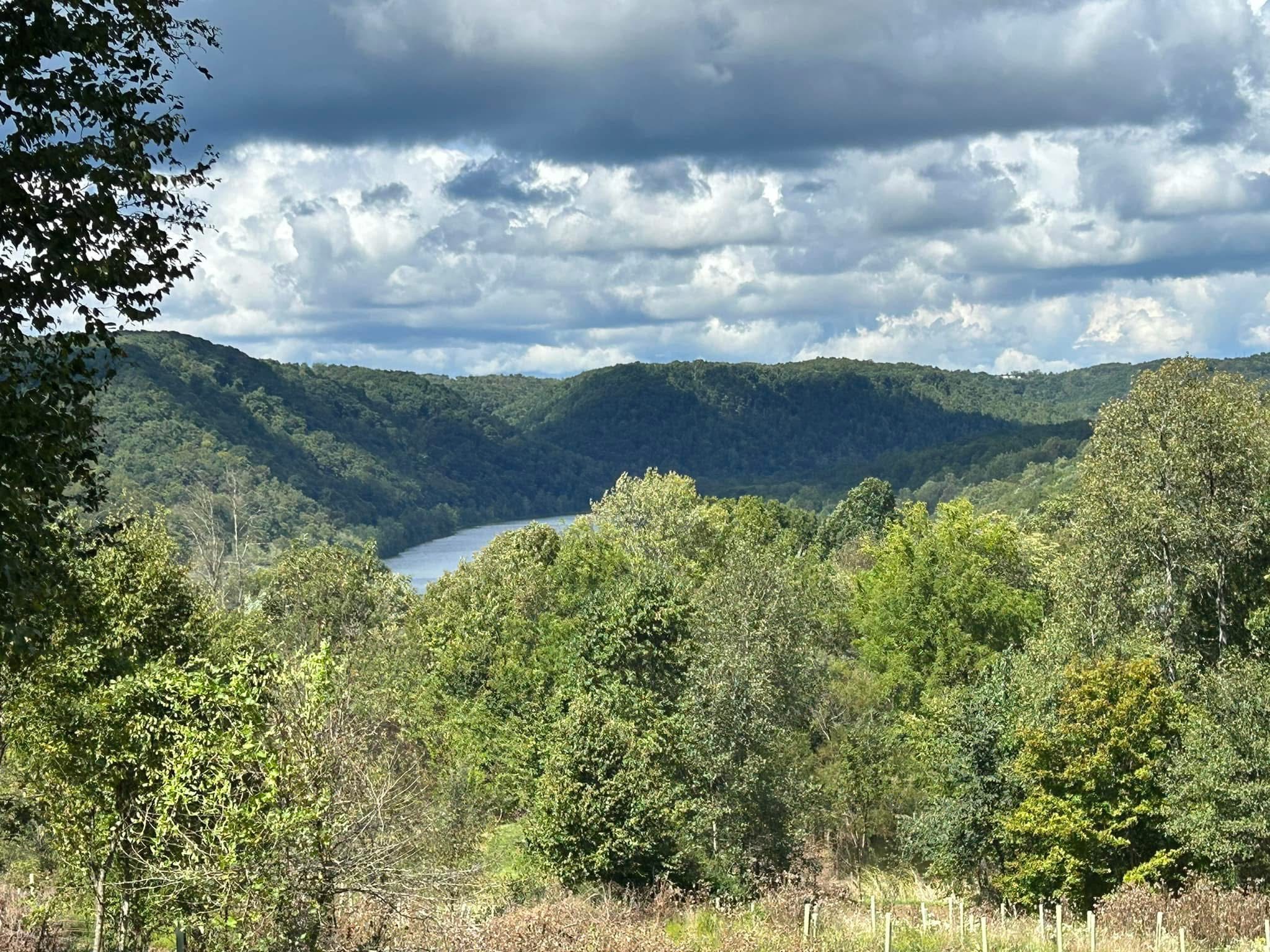 Peaceful Seclusion