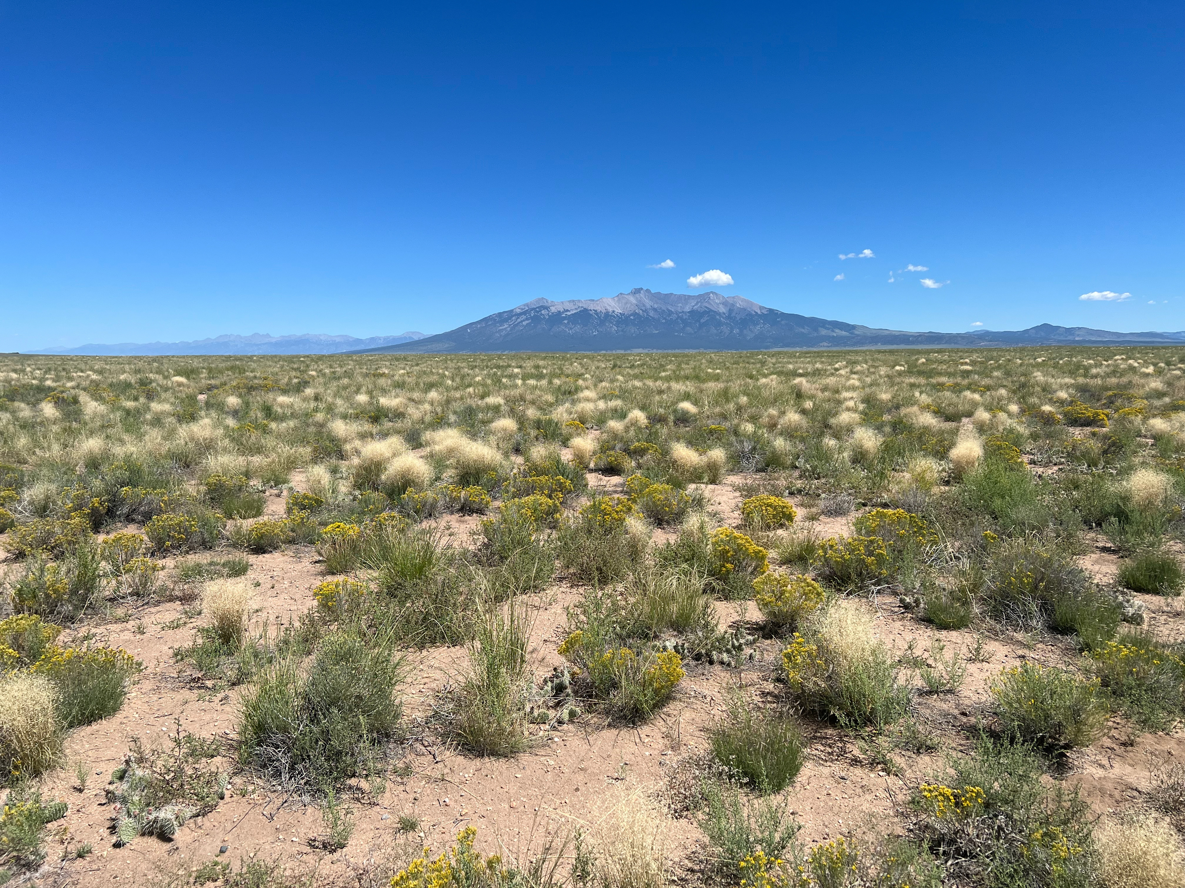 A View of the 14ner, Mt. Blanca.