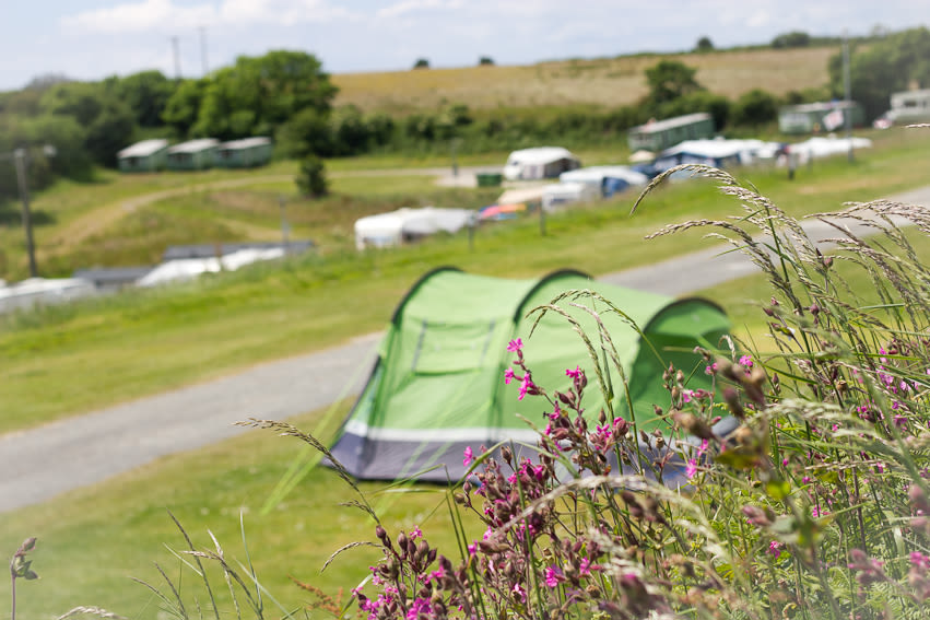 Tencreek Holiday Park