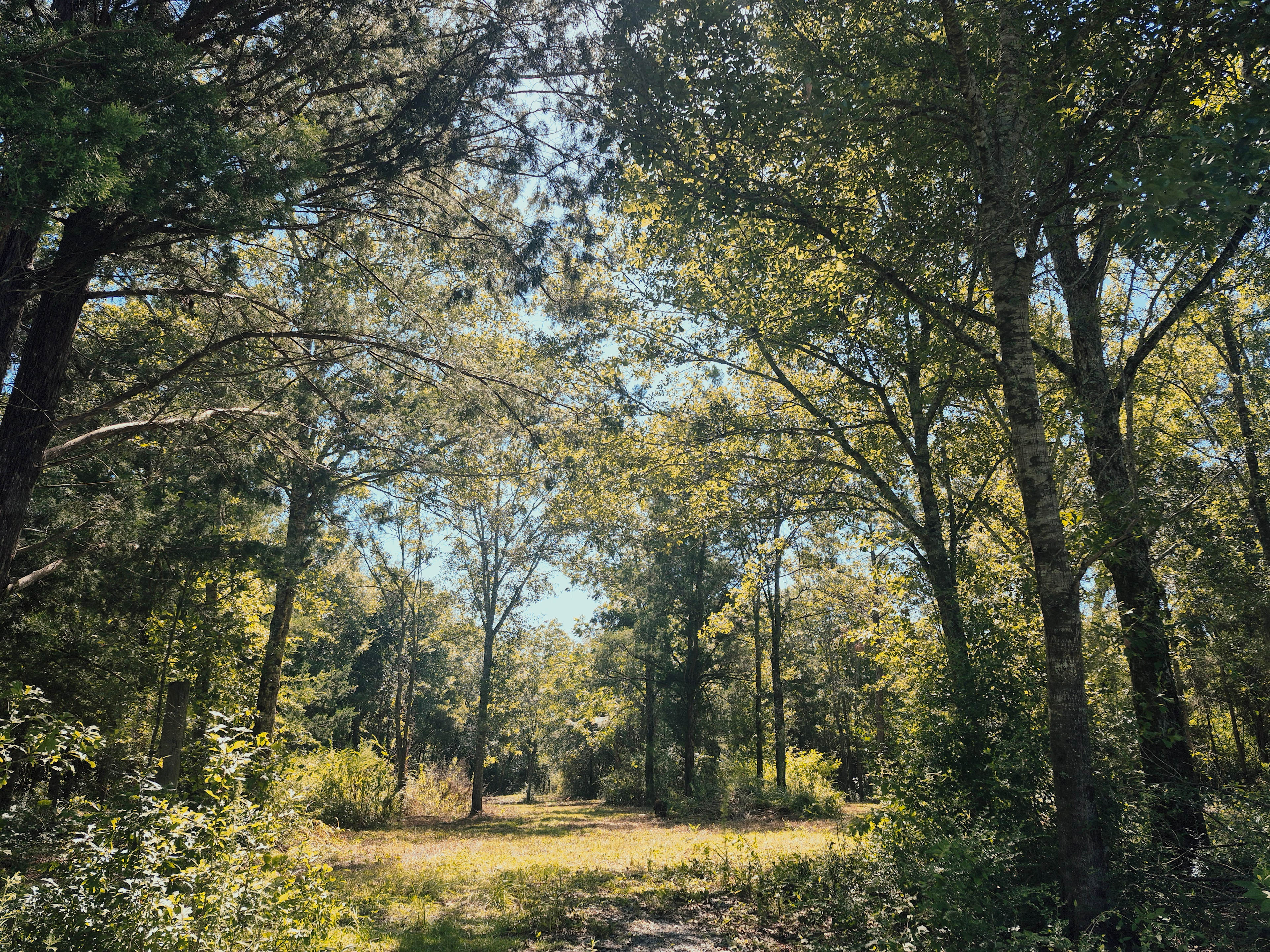 Gateswood Getaway