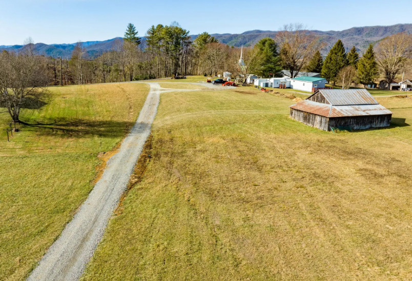 Haukes on the Horizon