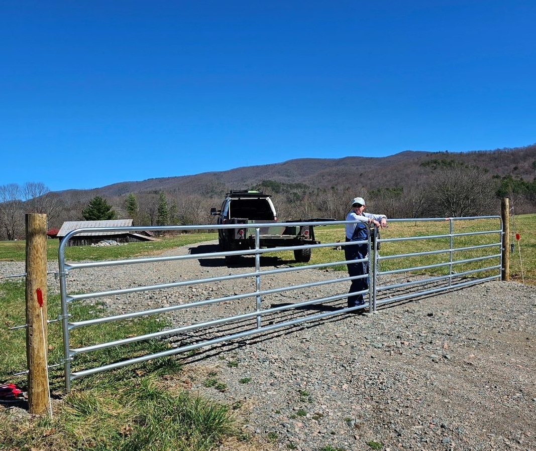 Haukes on the Horizon