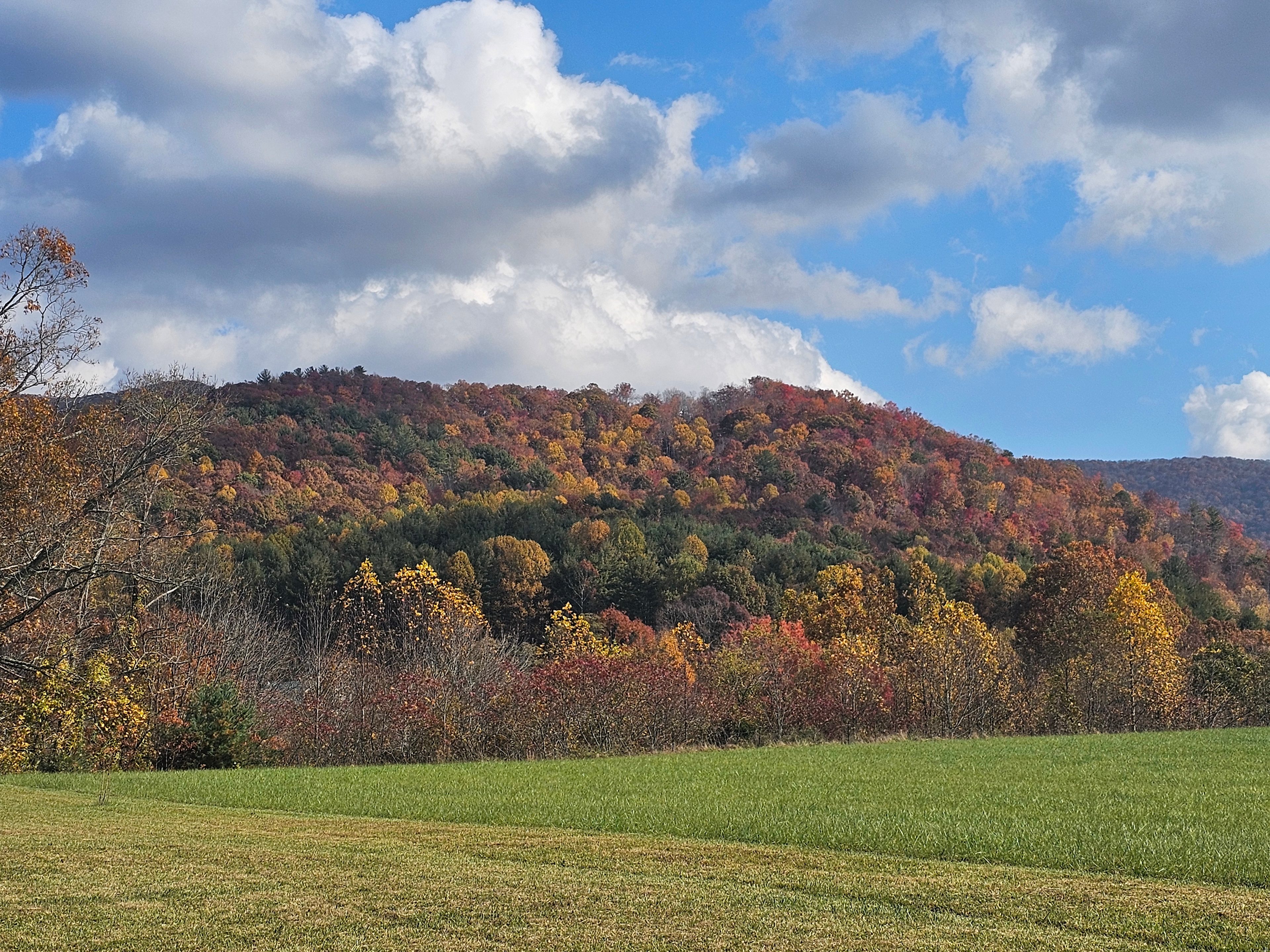 Haukes on the Horizon