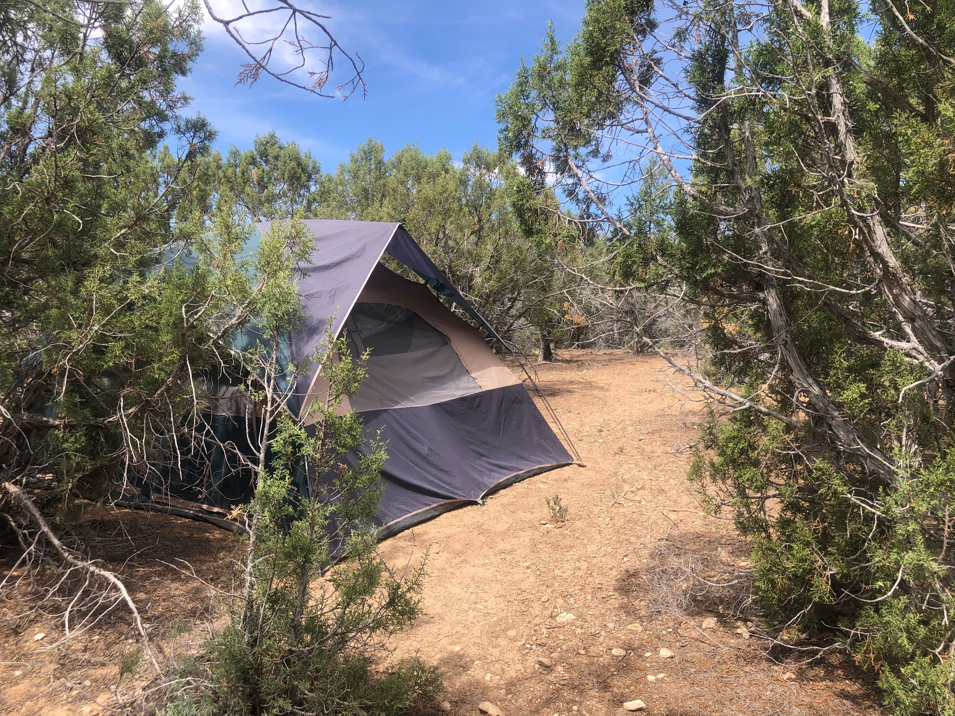 Nikita Ranchita Sanctuary
