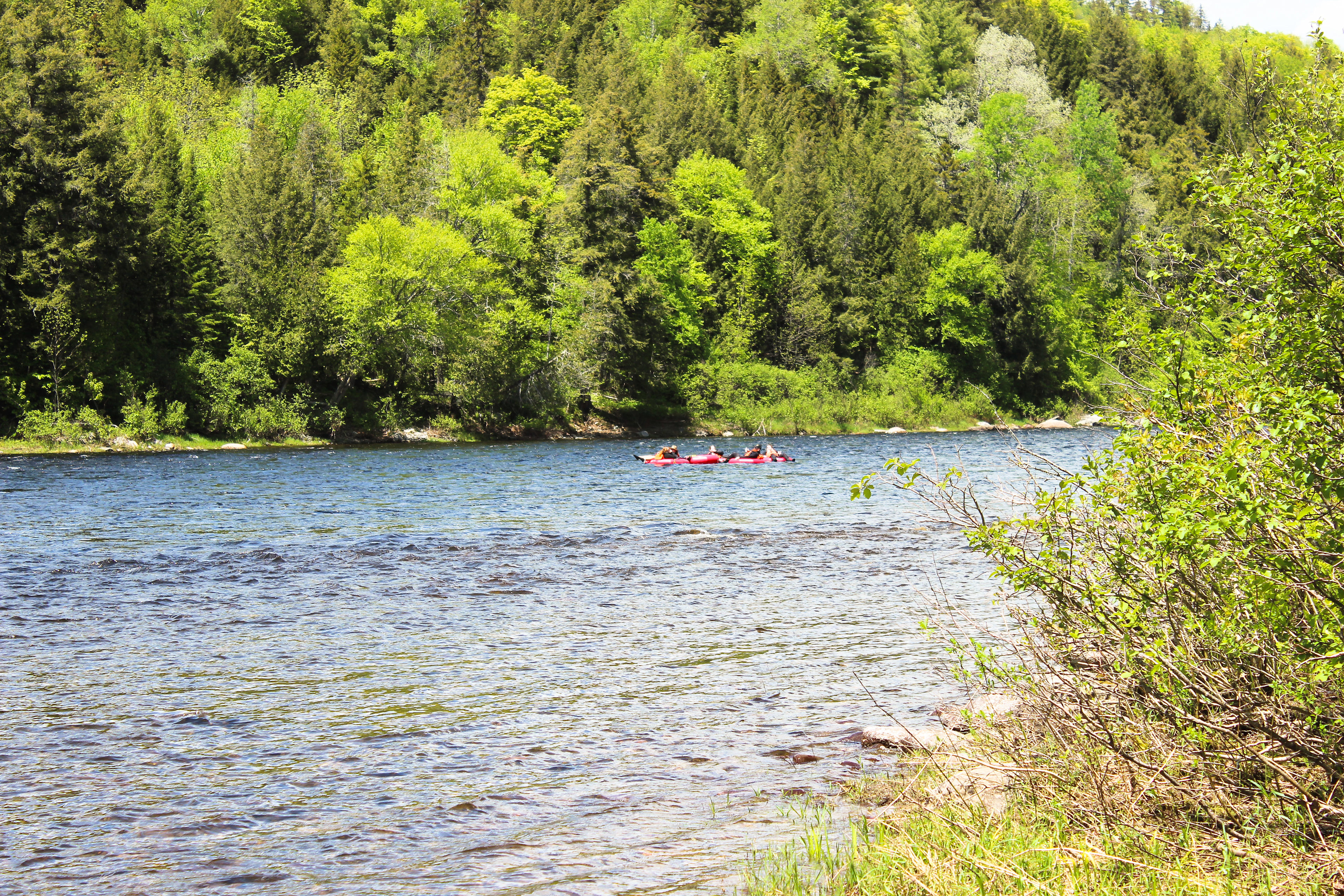 Kelley Brook Campground