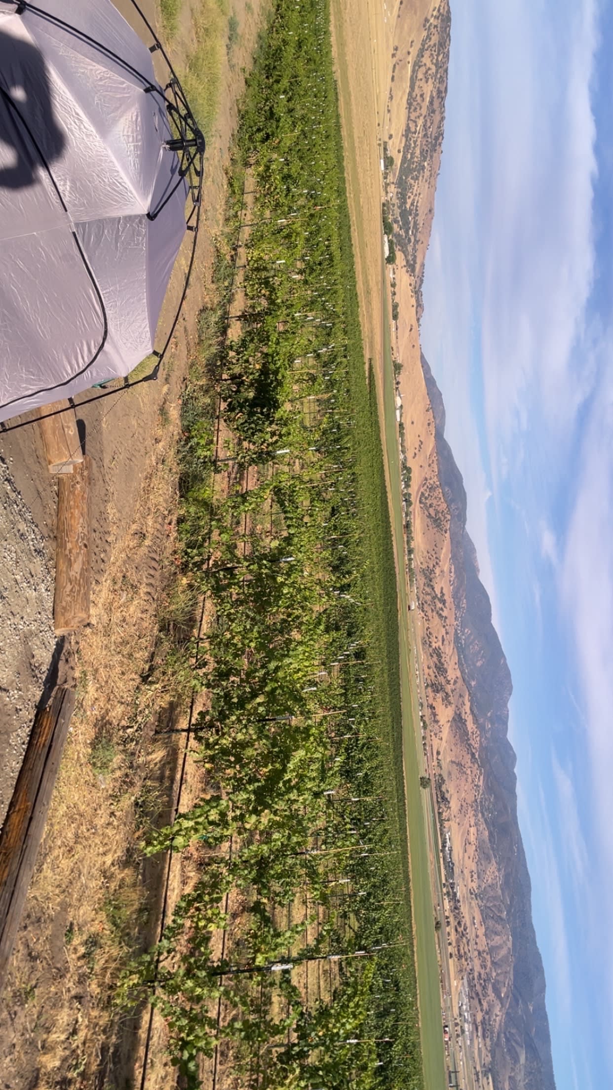 Tehachapi Winery