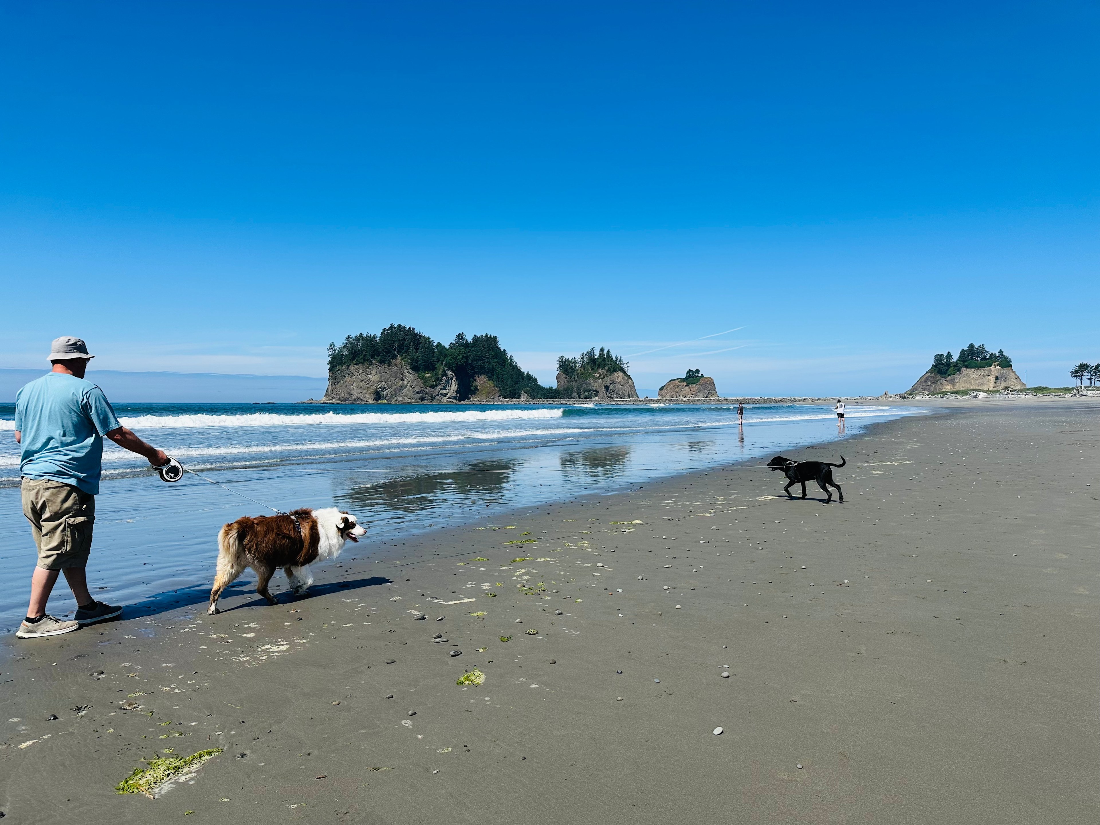 La Push (First Beach)