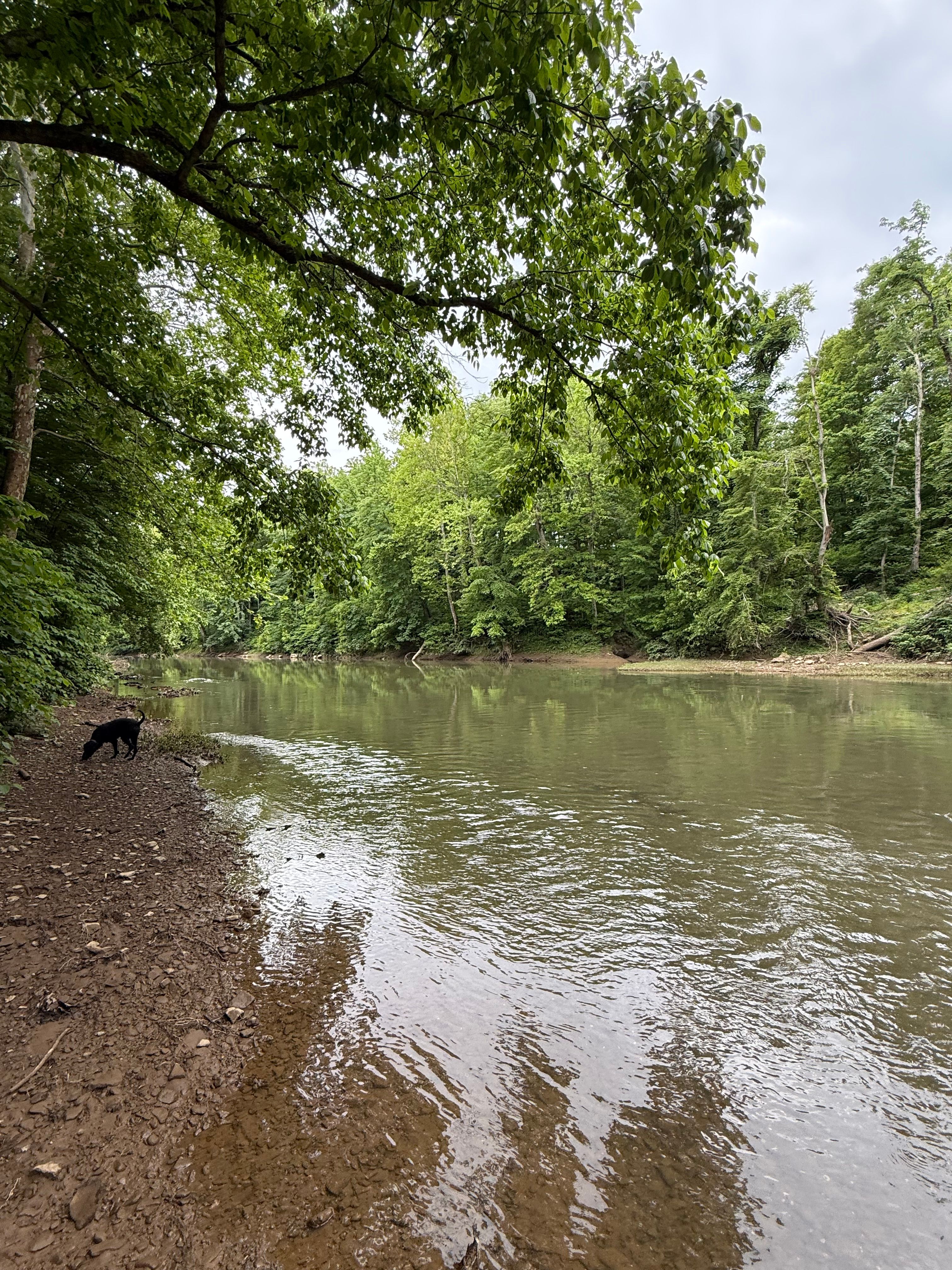 On Rivers Edge