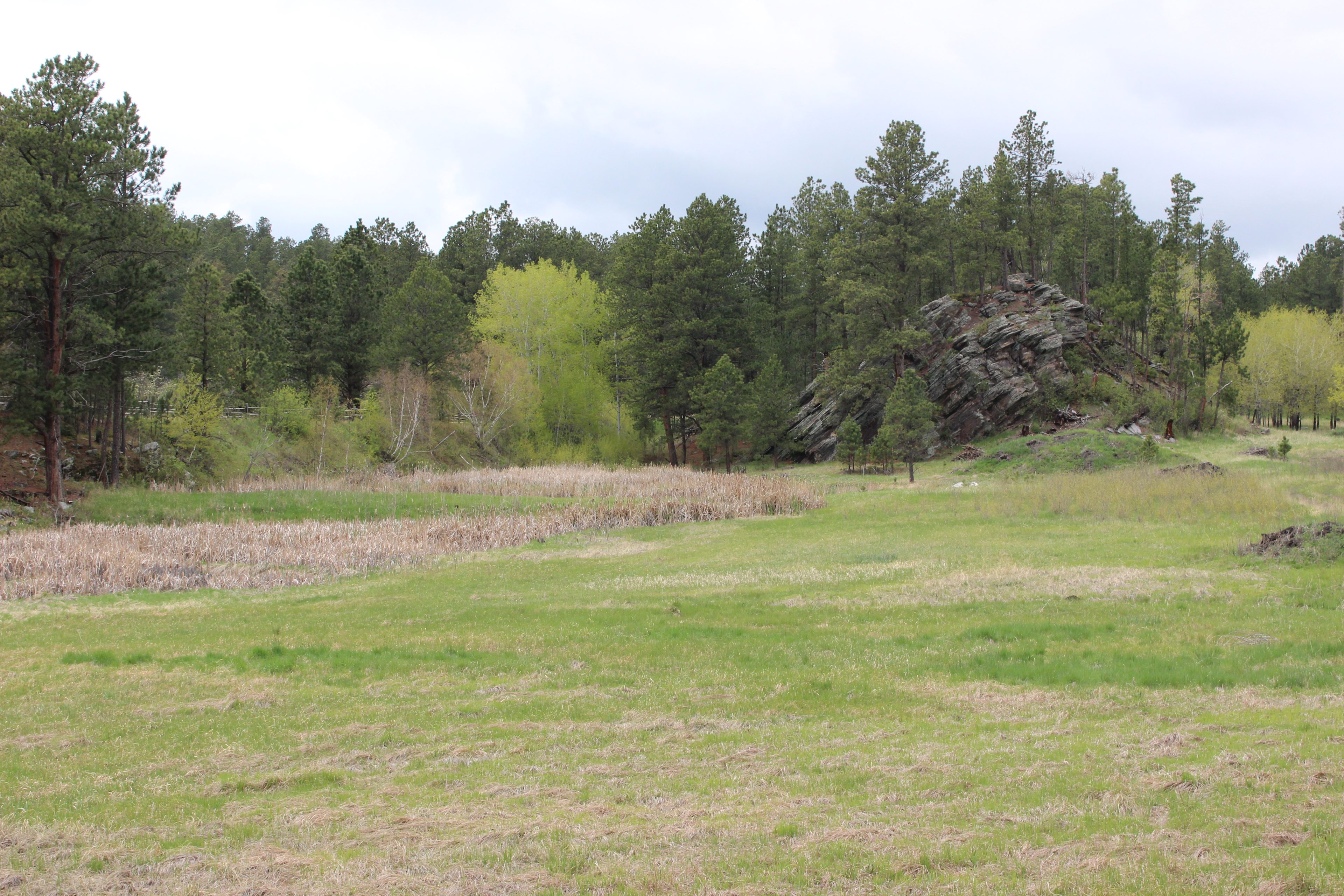 The Pond in Custer, SD